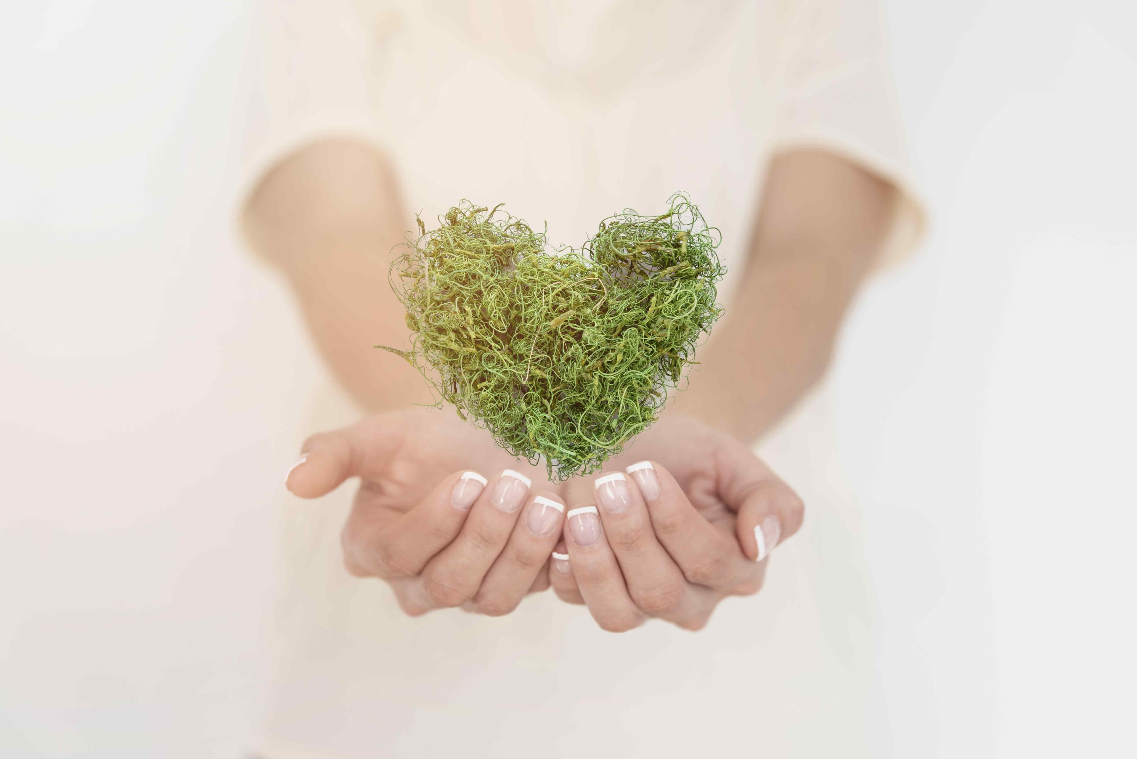 Oka Expands Climate Risk Solutions with Green Credit Insurance Offering