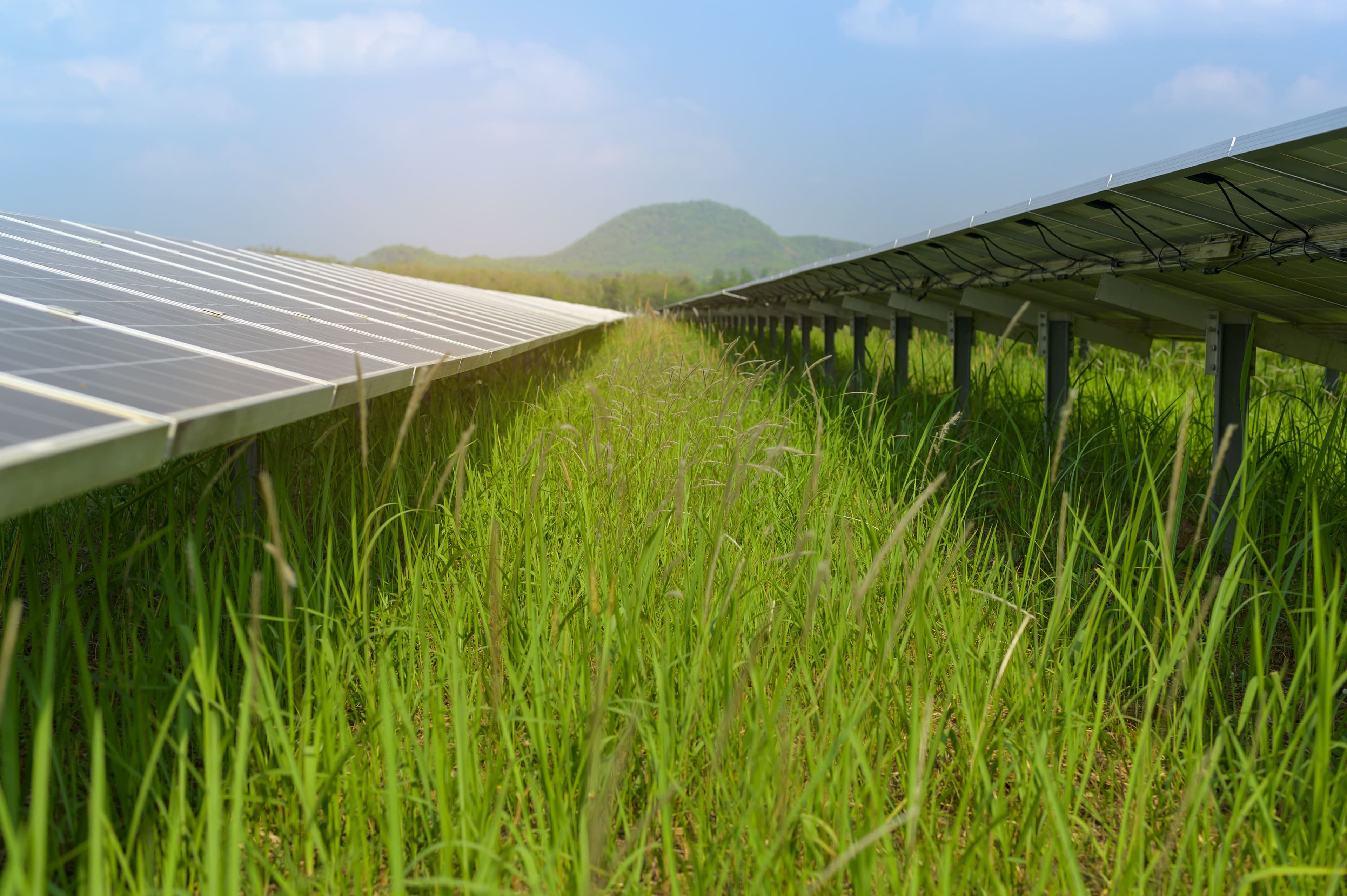 EDB Helps Businesses Go Green in Singapore