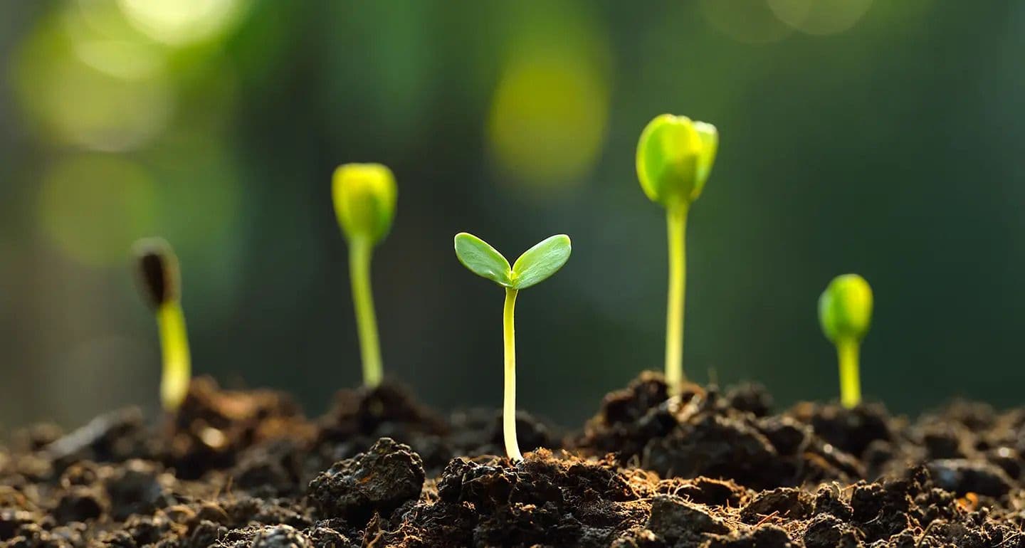 Green Finance: New Guidelines for Climate Transition Bonds