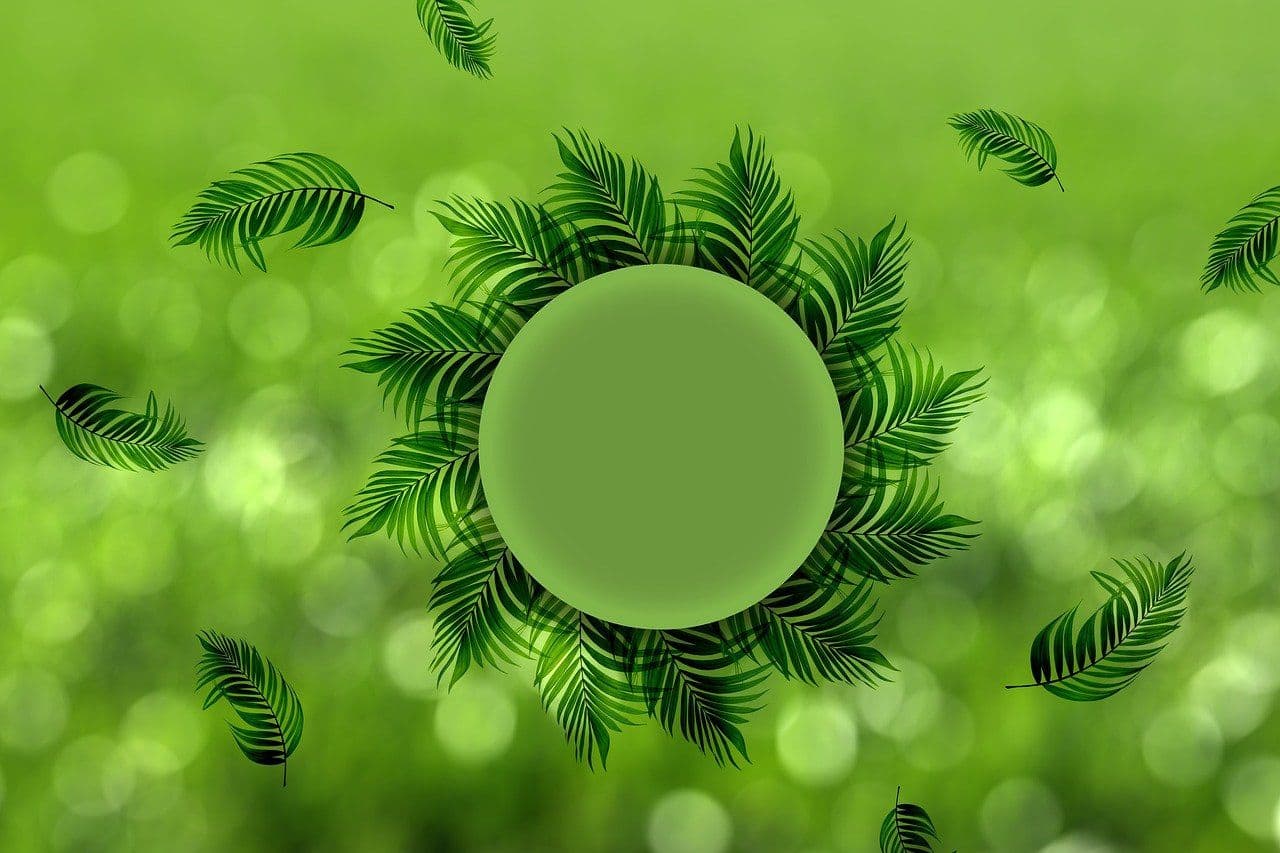SBS Media Sustainability Challenge Invites Brands to Go Green