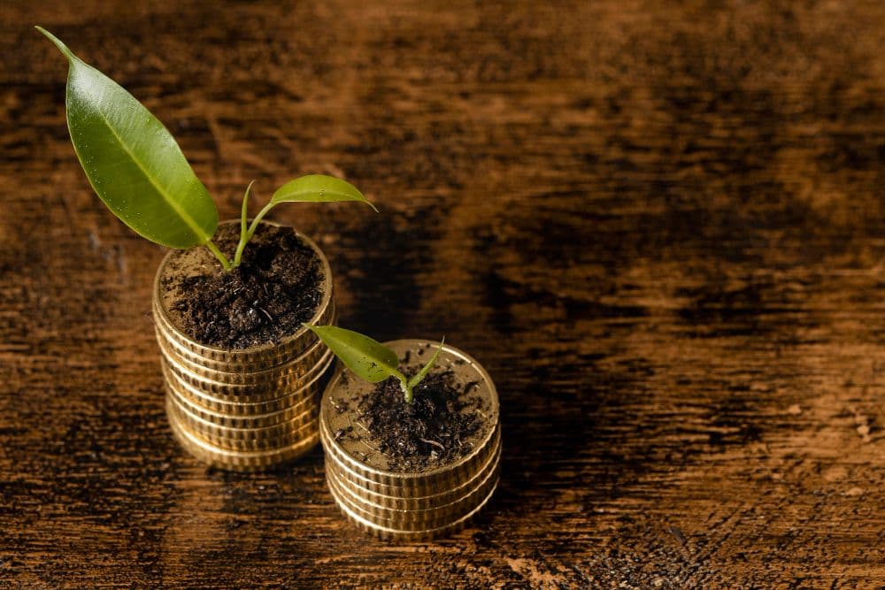 Standard Chartered’s New ESG-linked Cash Account