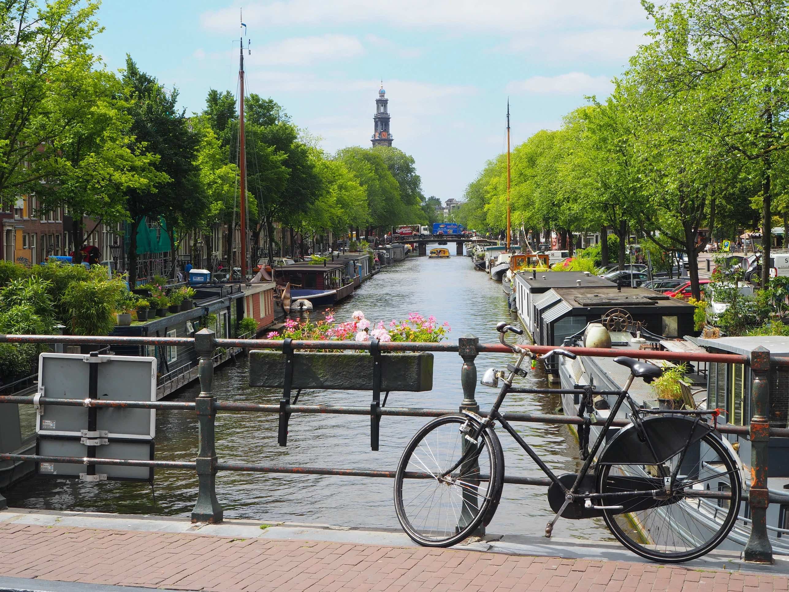 Top 5 ESG Courses in the Netherlands