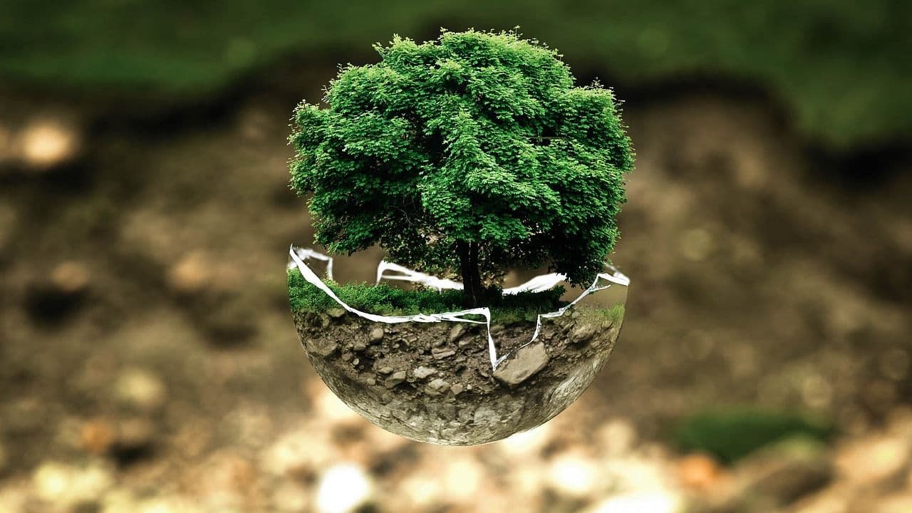 The Best ESG Performance Companies in 2024: Delving into the Ranking Rationale