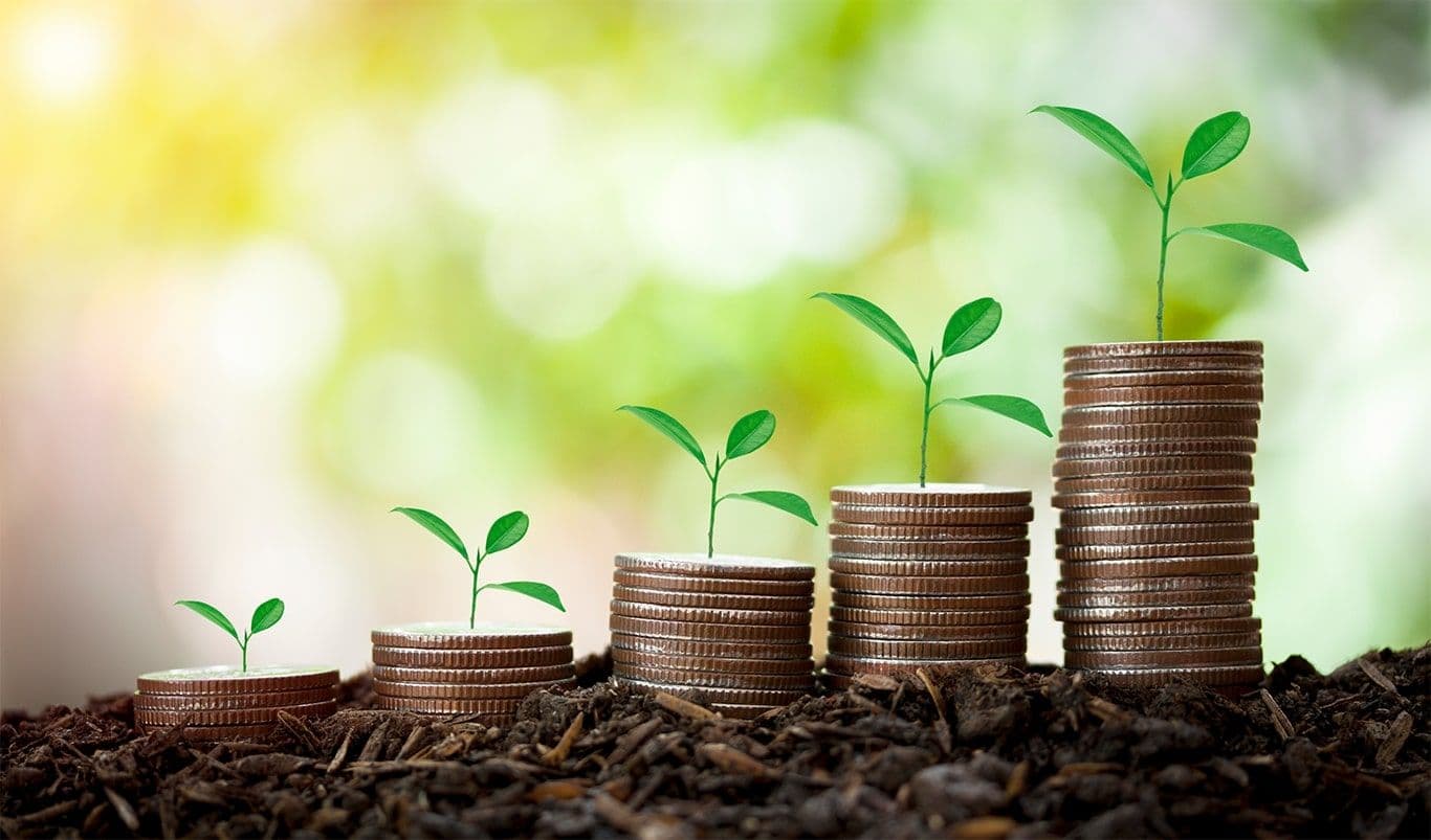 AMAS Urges Swiss Firms to Follow Global Sustainability Standards