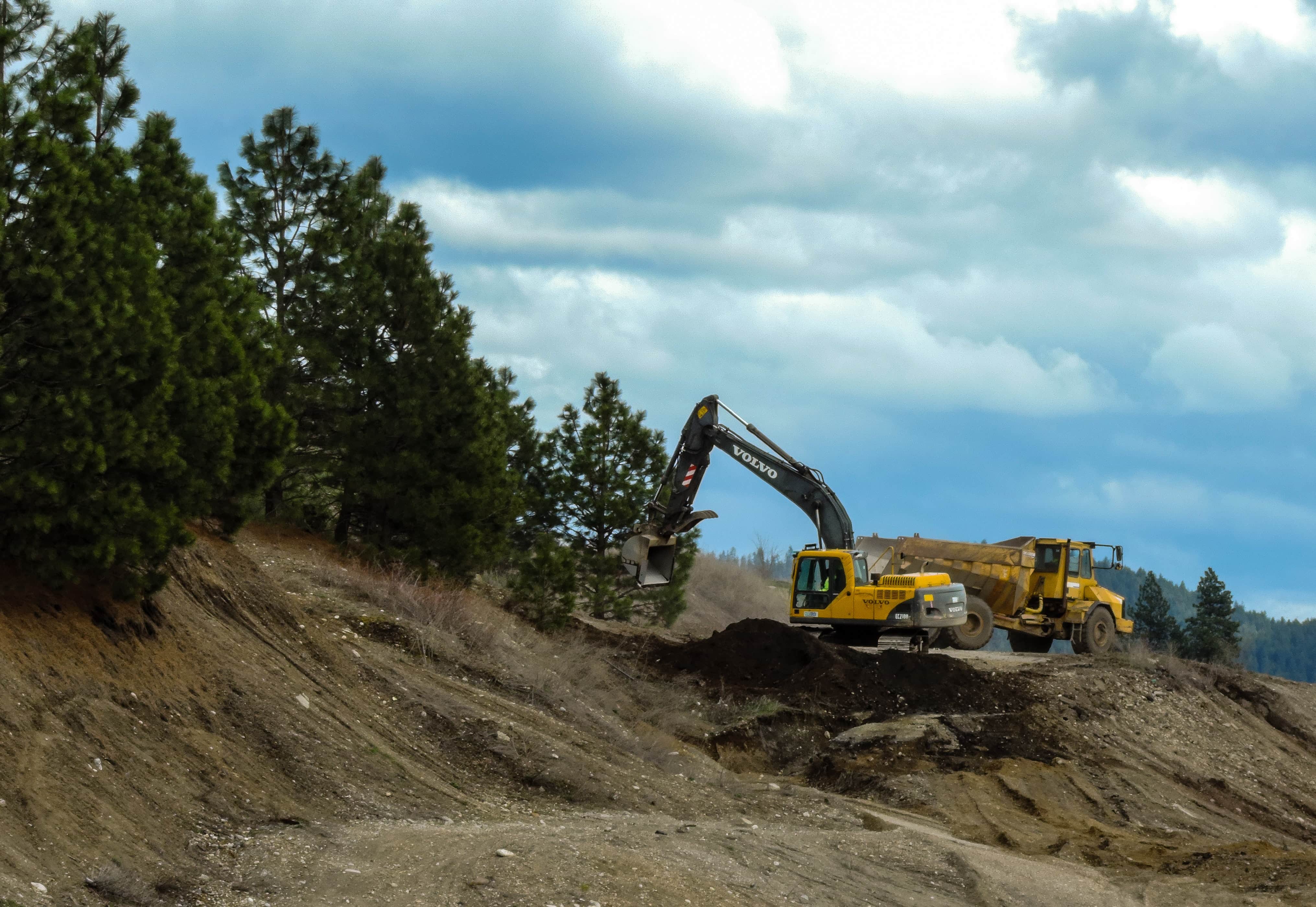 New Zealand Investors Fund Deforestation