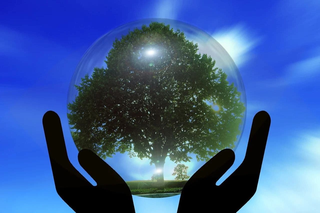Climate Change and Sustainable Investing Specialization