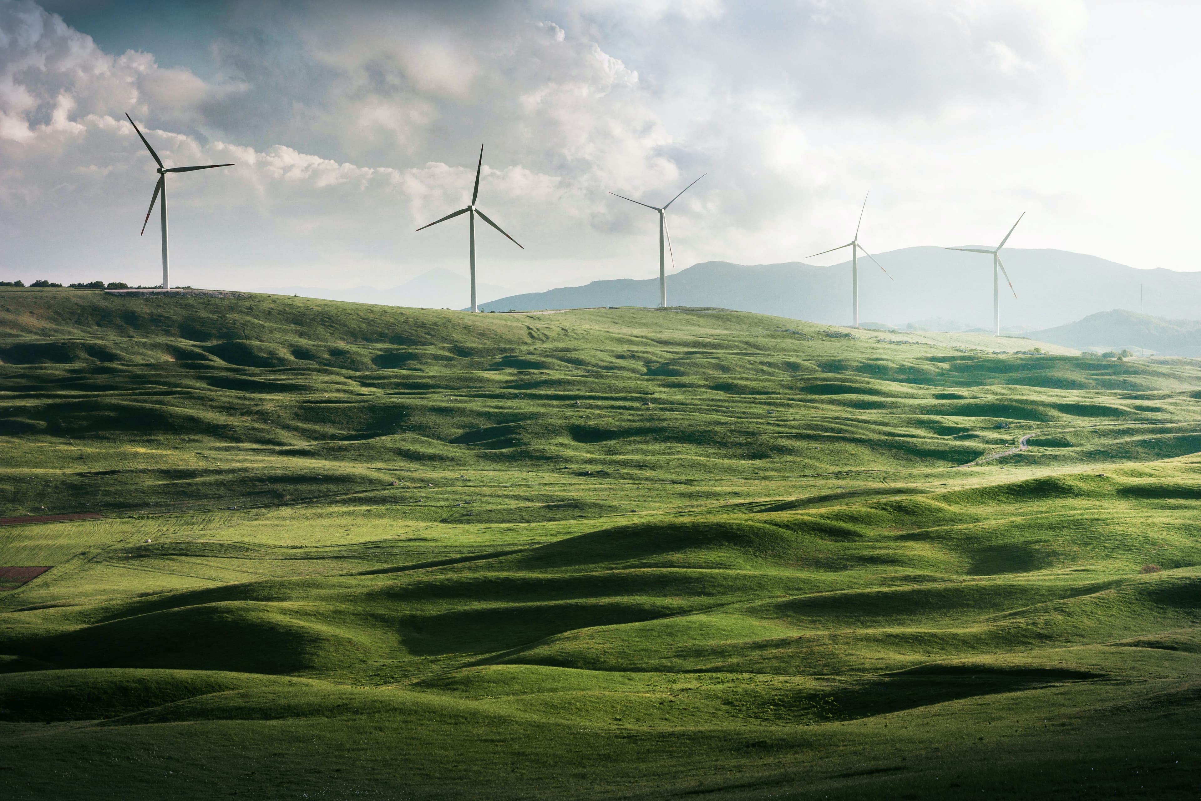 Ukraine War Calls for Accelerated Sustainability: Demand for Green Hydrogen in MENA Increases