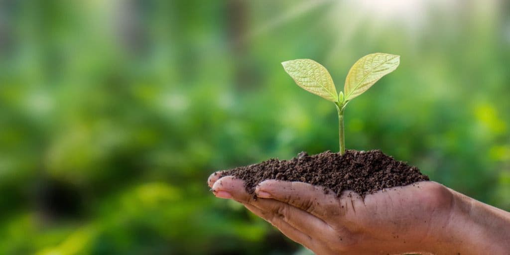 CITI to Promote ESG Awareness