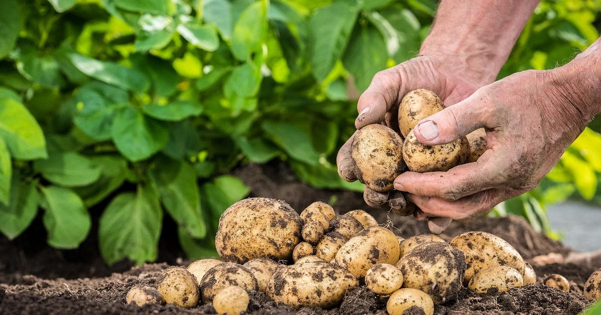 The transition to regenerative agriculture will be accelerated by a new impact fund