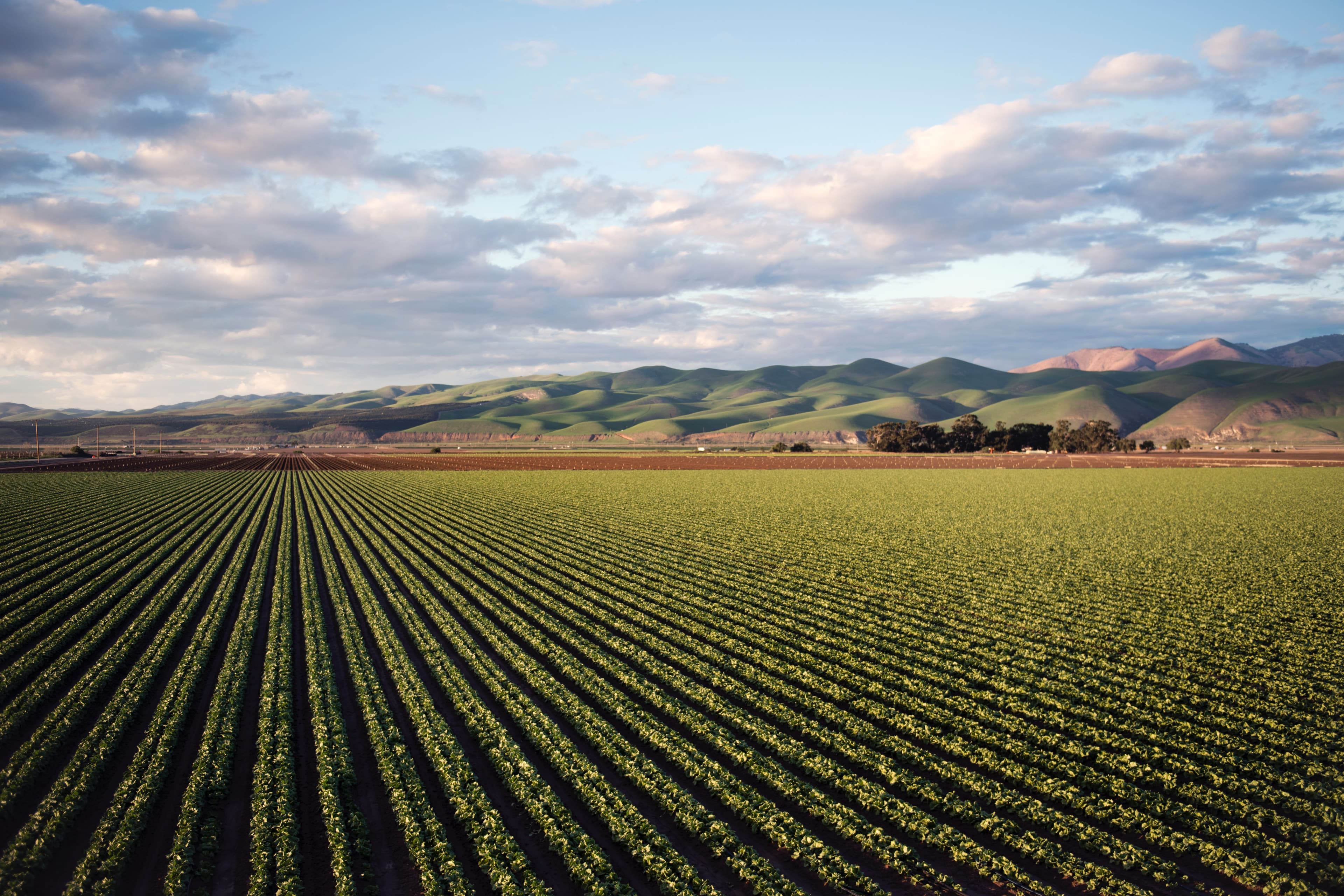 Better Cotton Joins Clinton Global Initiative to Support Sustainable Farming
