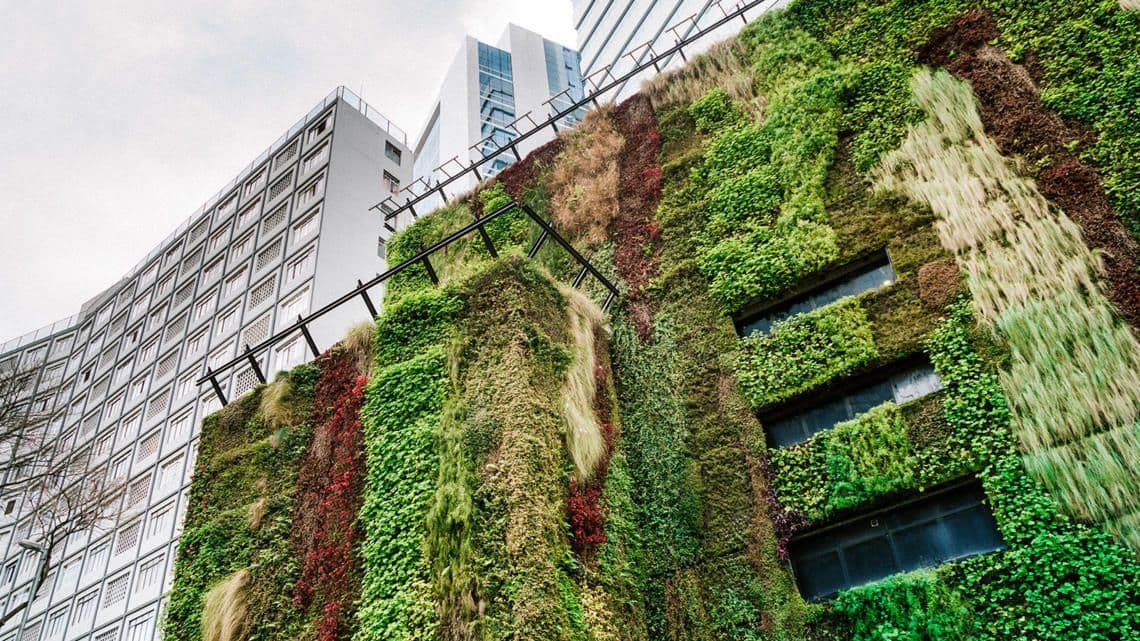 Holcim, IUCN Join Forces for Nature-Positive Building