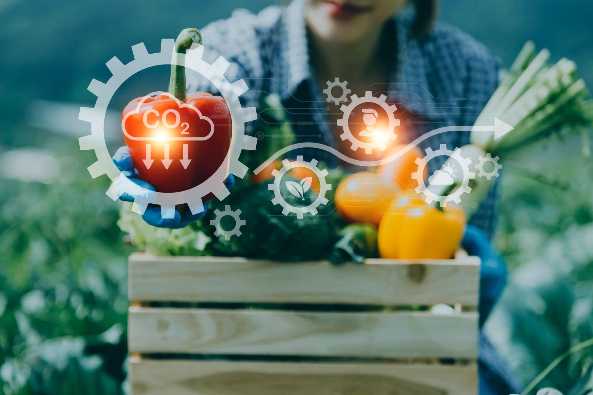 FoodDrinkEurope: Sustainable Food Plan for the EU