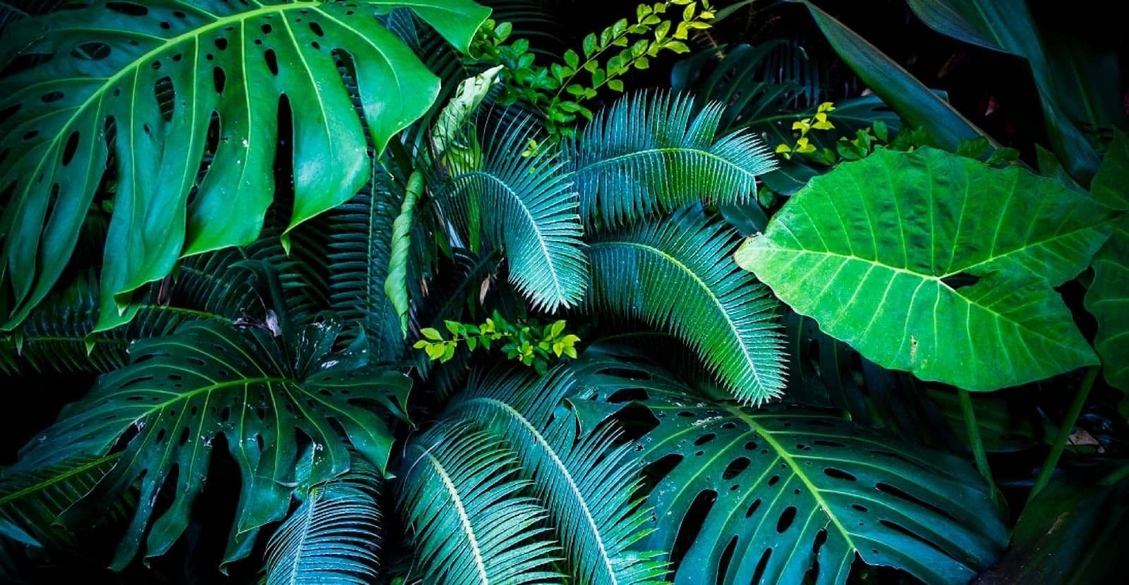 Do More Good: IFF Publishes 2023 Sustainability Report