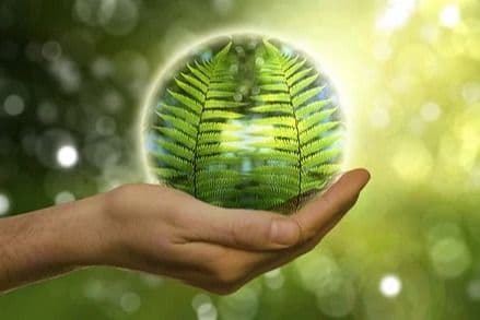 Global Environmental Management