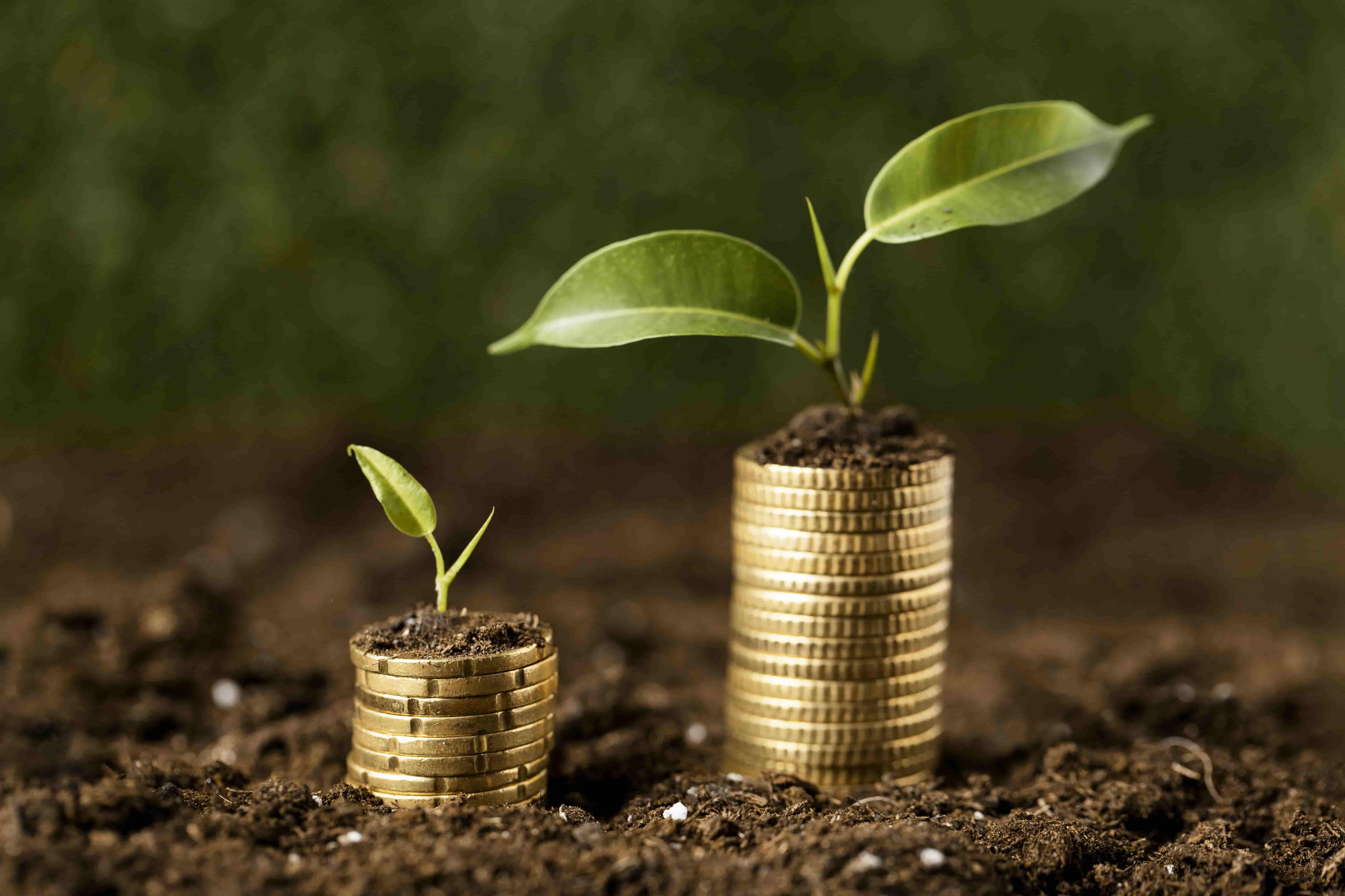 EU Competitiveness at Risk Amid US ESG Retreat