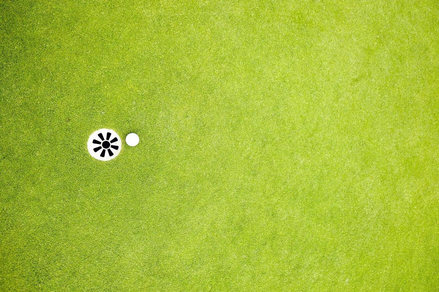 The Urgent Need for Business Sustainability Reform