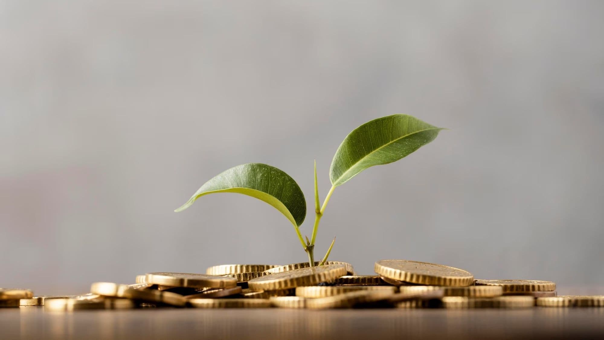 The Benefits Of Impact Valuation
