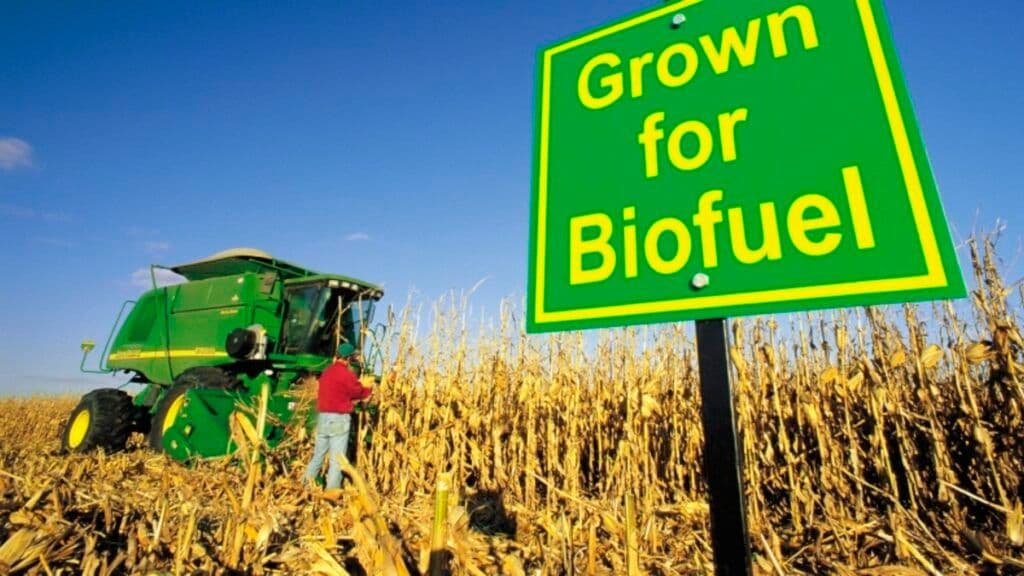 Tie-Up for Cellulosic Bioethanol Development in Japan