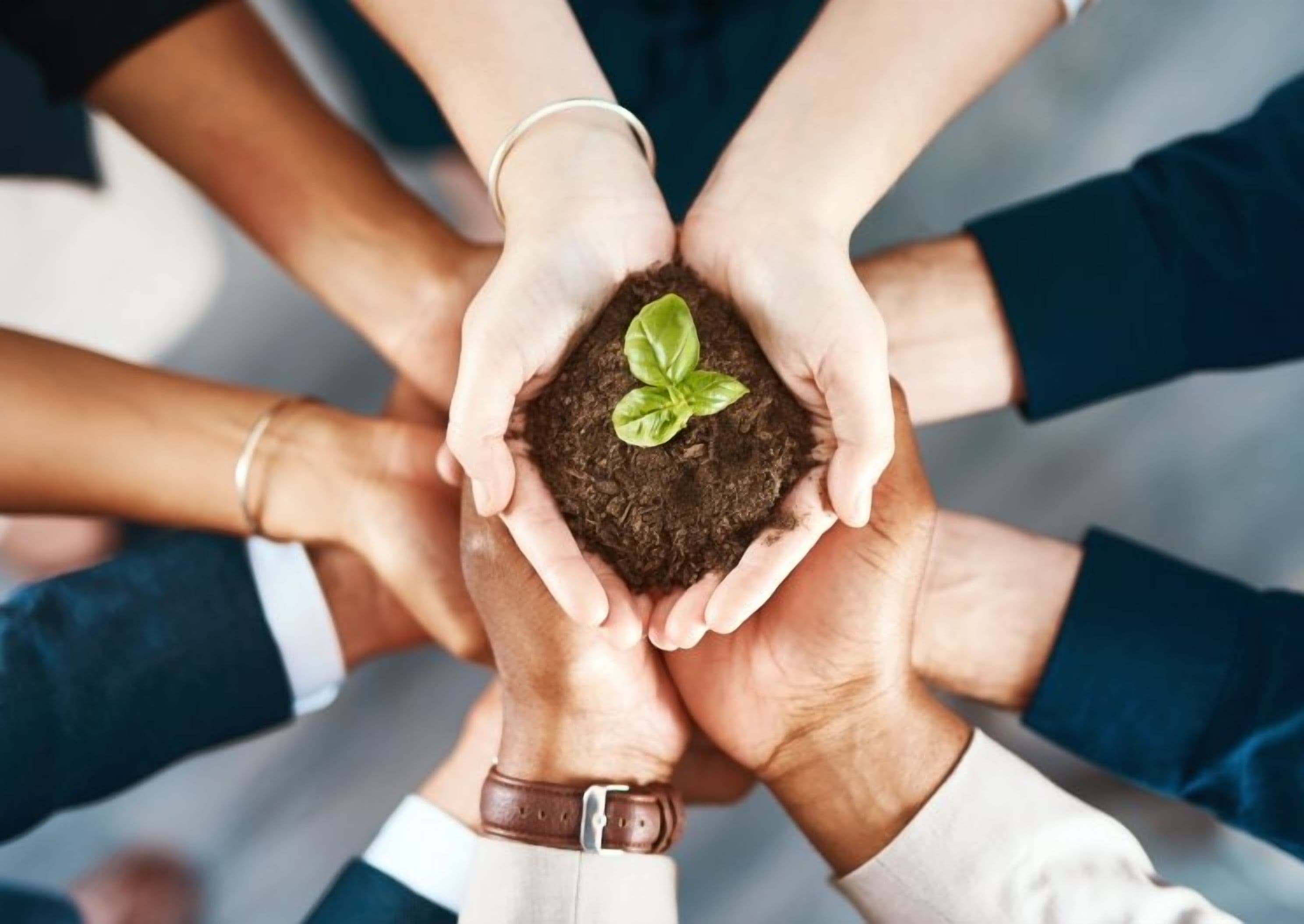 AXA IM Ties Executives Compensation to ESG Goals