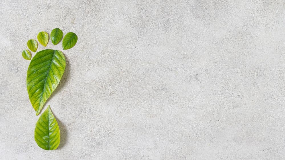 Monmilk ESG Rating Upgraded