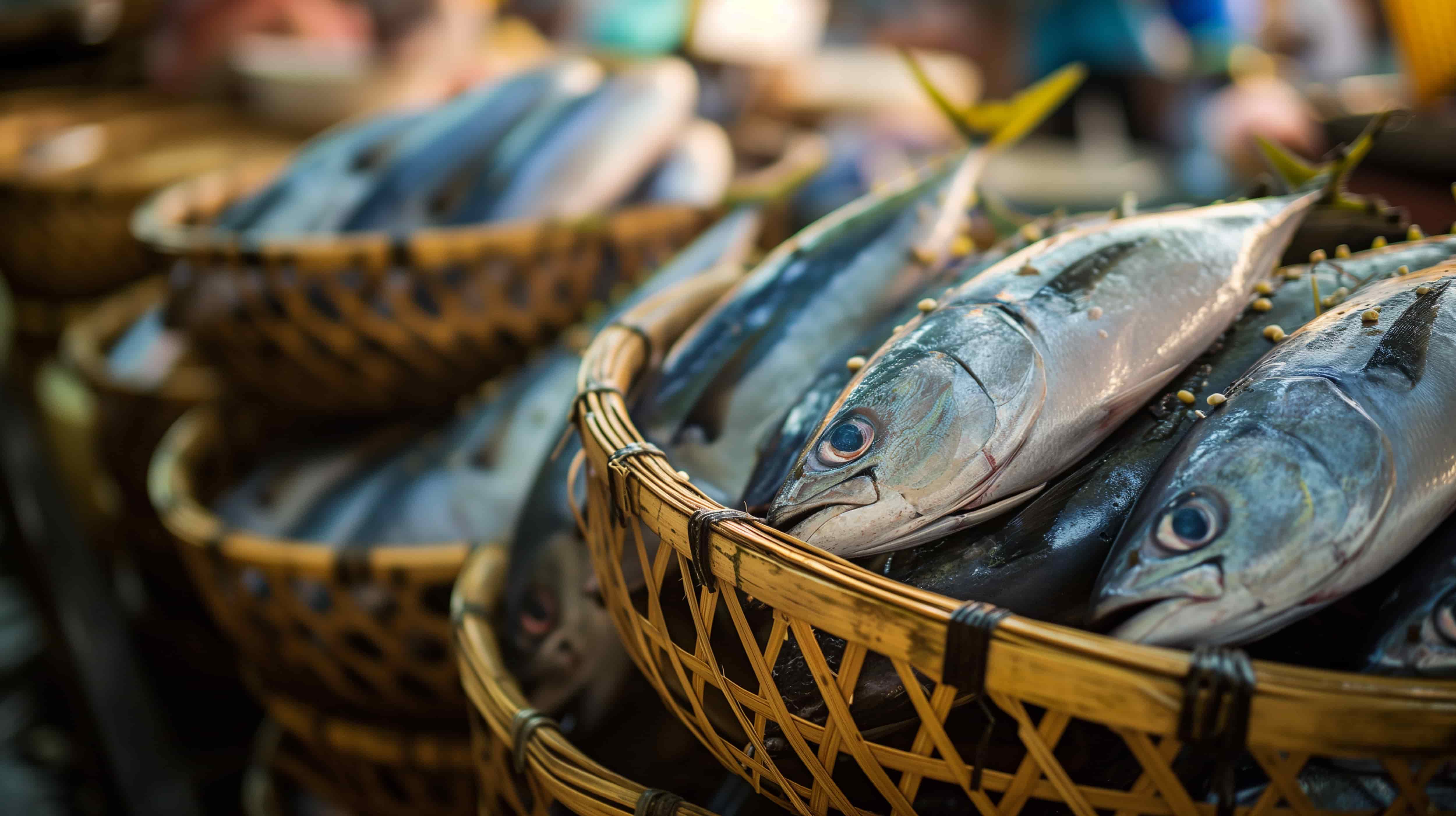 Oyetola Vows to End Nigeria’s Fish Importation Through Blue Economy Reforms