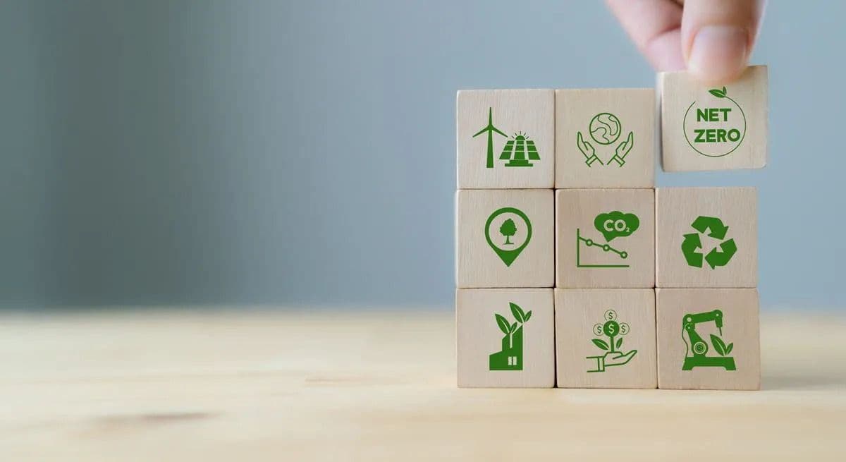Sustainable Finance Reporting and Disclosures