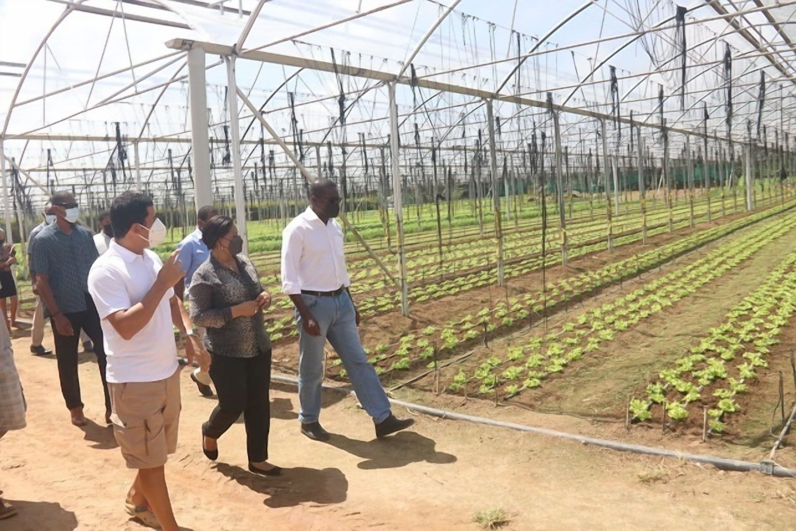 Green Climate Fund: Seychelles to Make Agriculture More Resilient to Climate Change