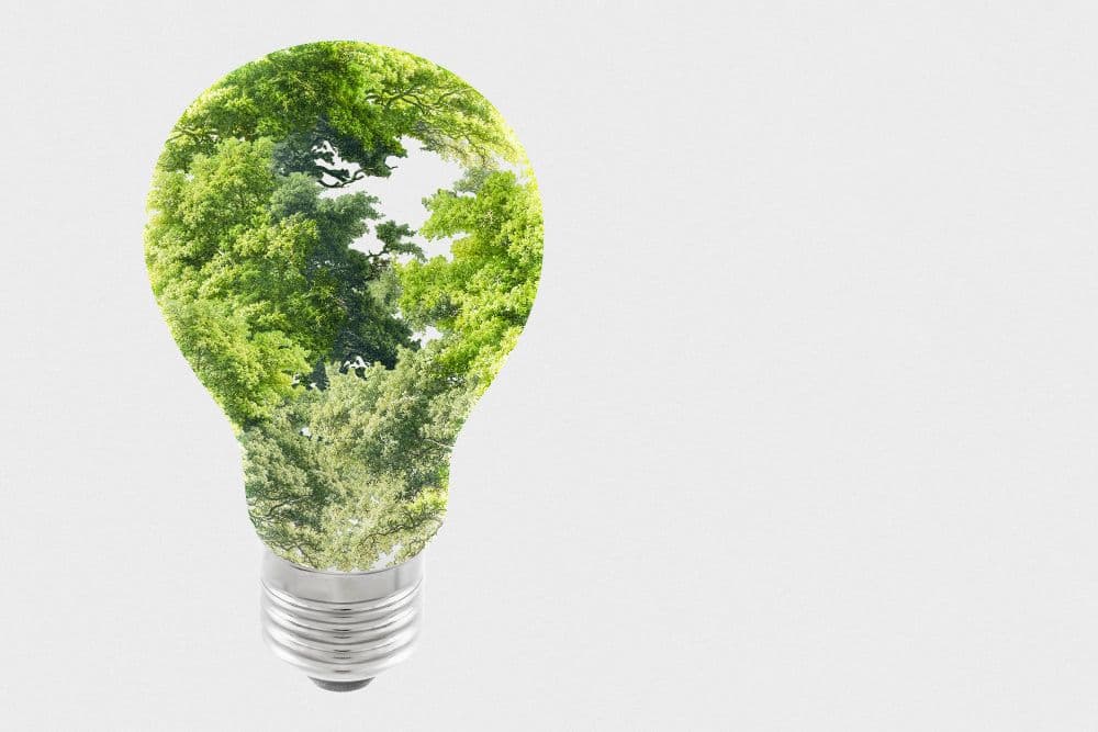 PAC Worldwide Shrinks Environmental Footprint
