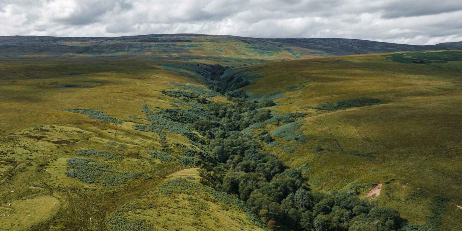 Triodos Bank Wins ESG Award for Conservation Deal