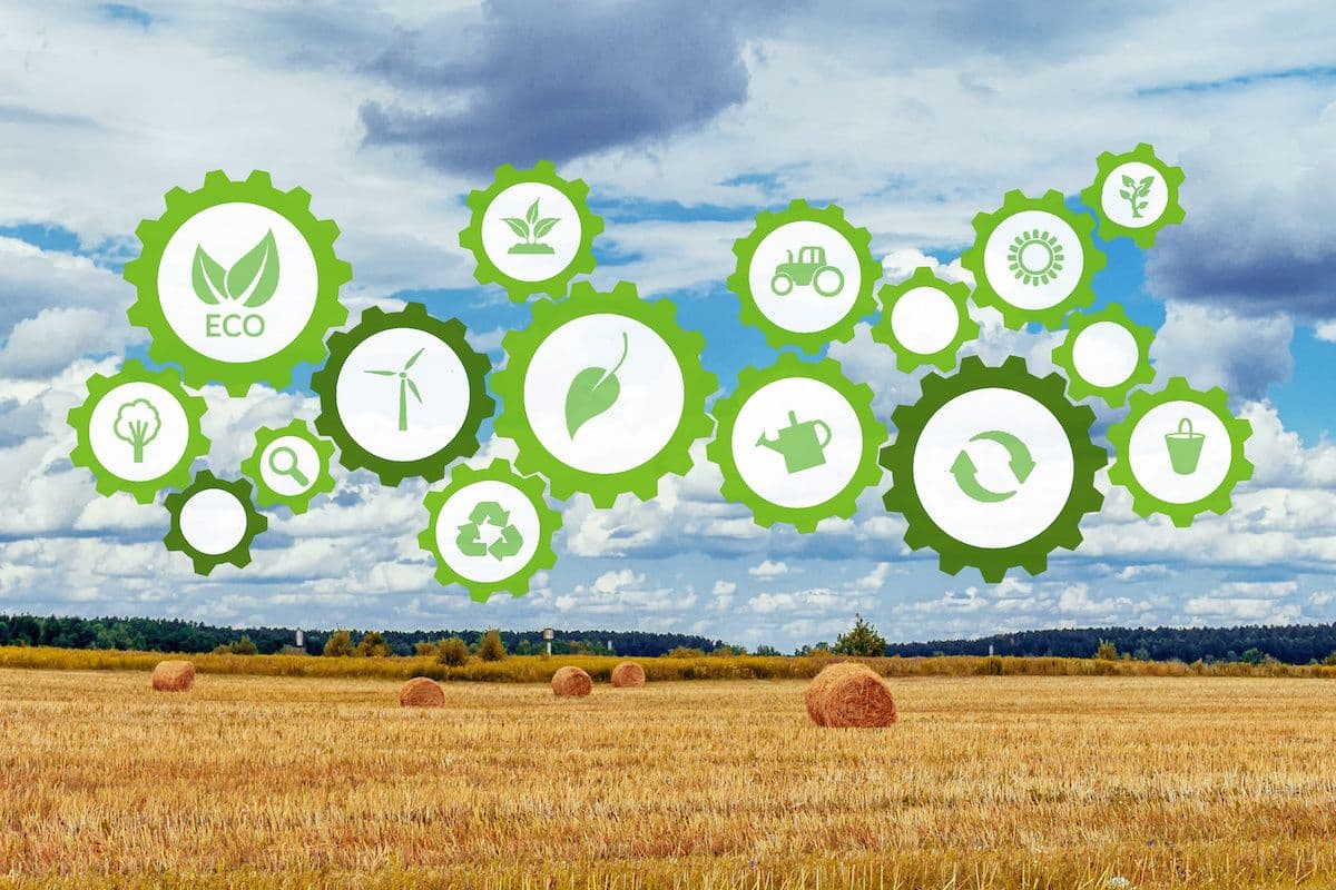 Agtech Leader Cropin Becomes B Corp