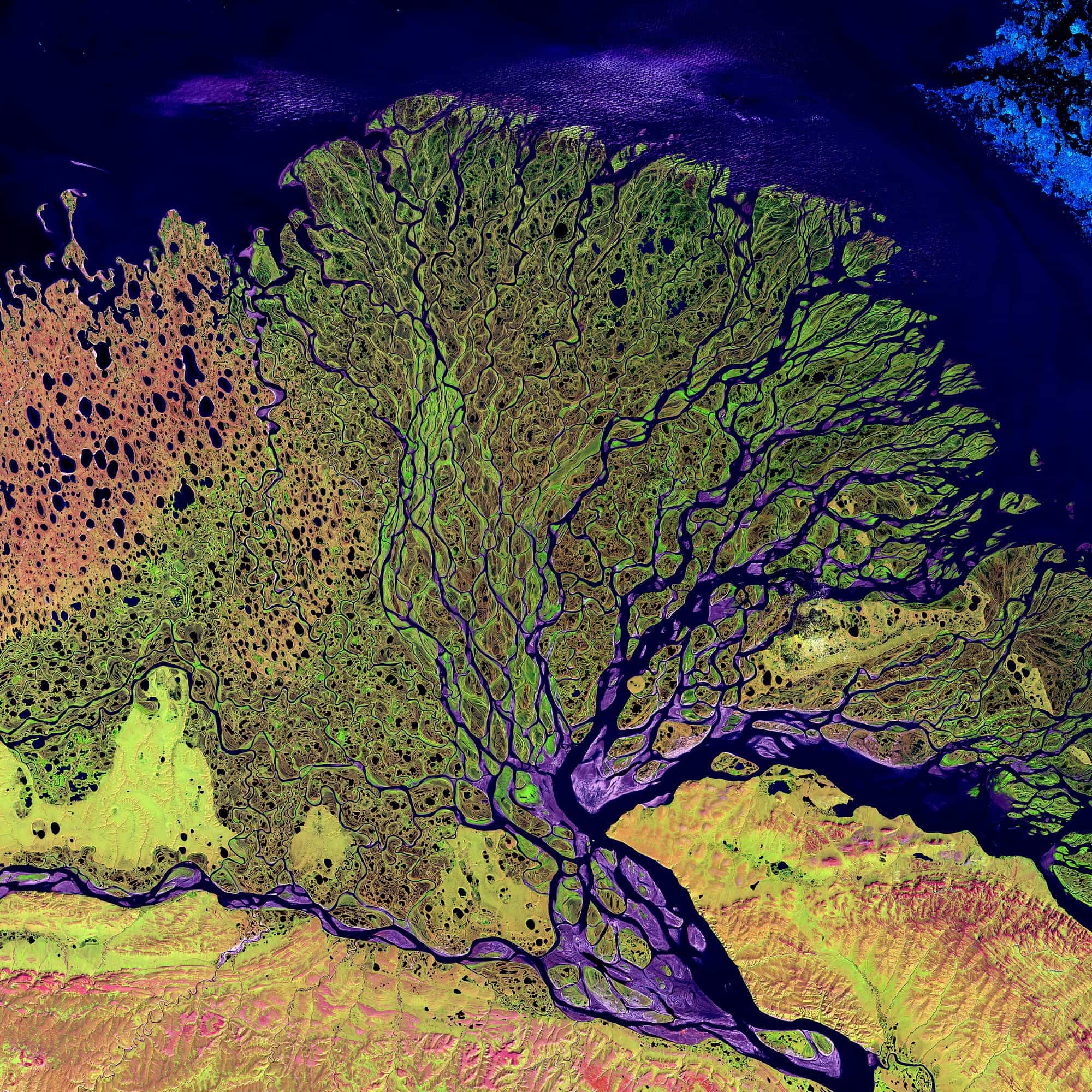 Advanced Remote Sensing Techniques for Environmental Applications
