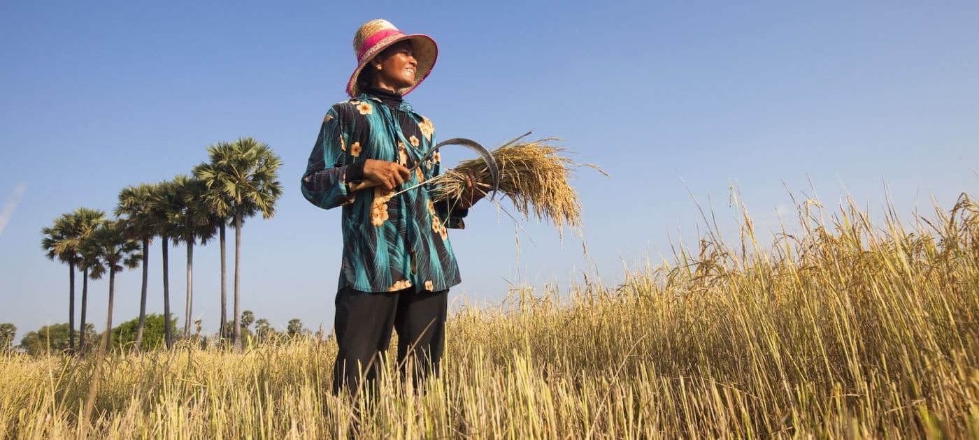 Cambodian Women Farmers Benefit from Renewable Energy