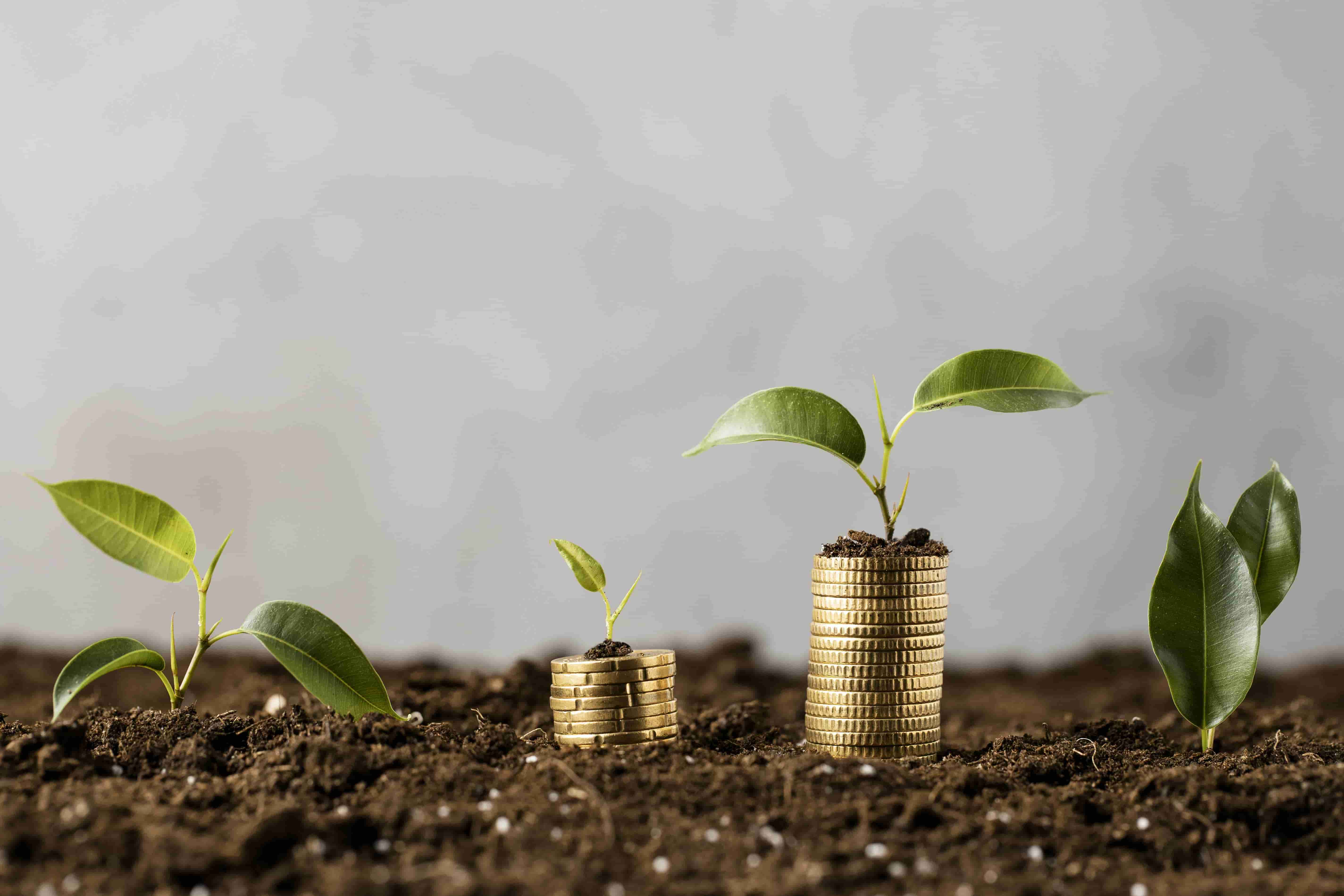 EFG Holding Leads Sustainable Finance Push with Unified ESG and Community Strategy