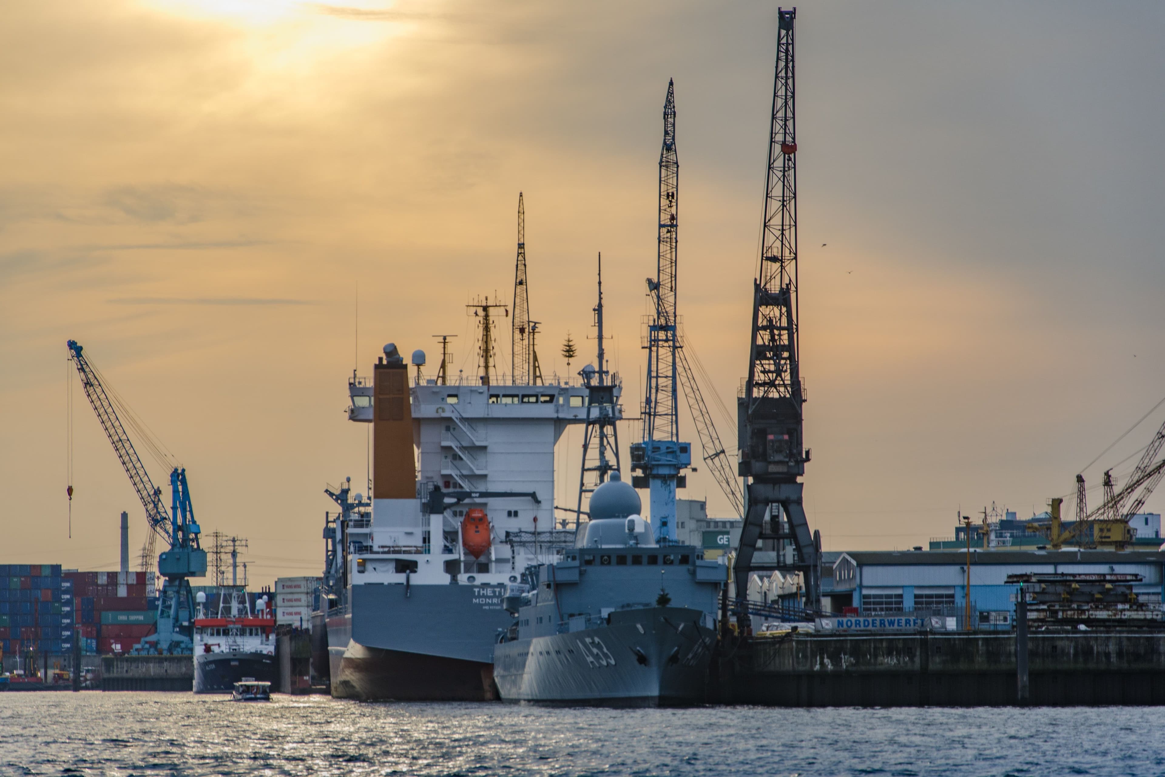 NYK Joins Marine Biofuel Data Collection and Analysis Project