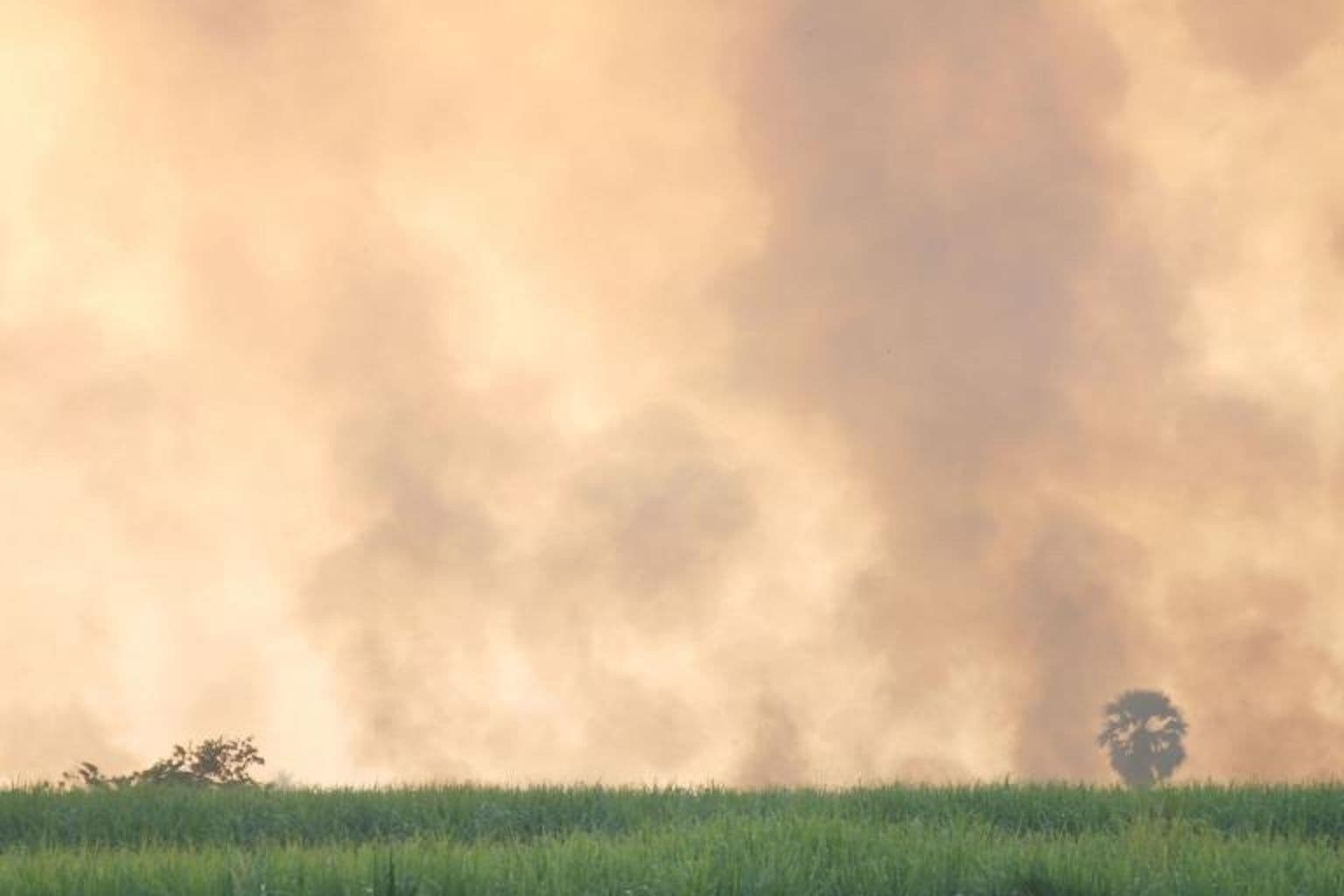 2023 Sees Record Greenhouse Gas Levels, WMO Reports