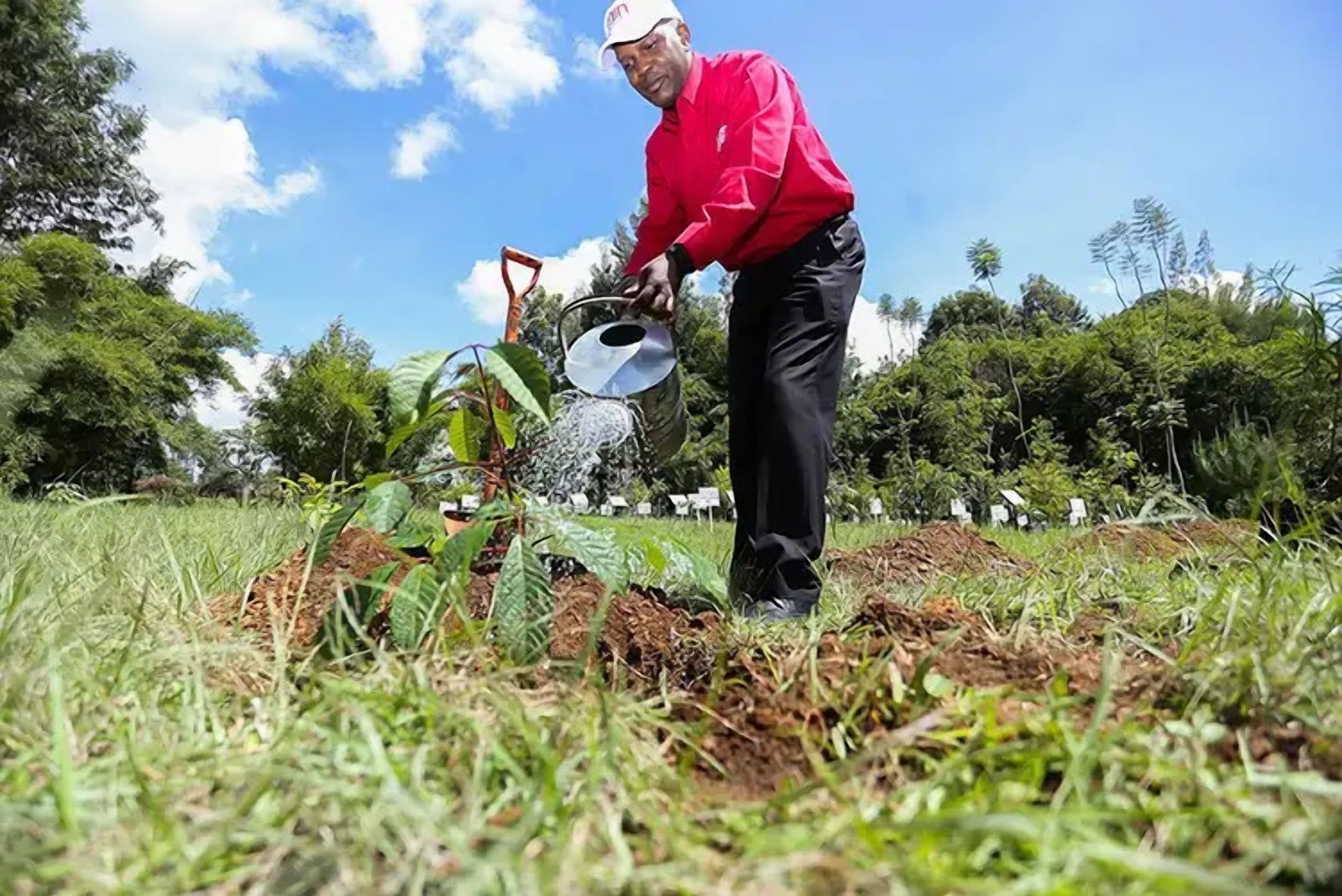 Africa's Coca-Cola: Green Solutions