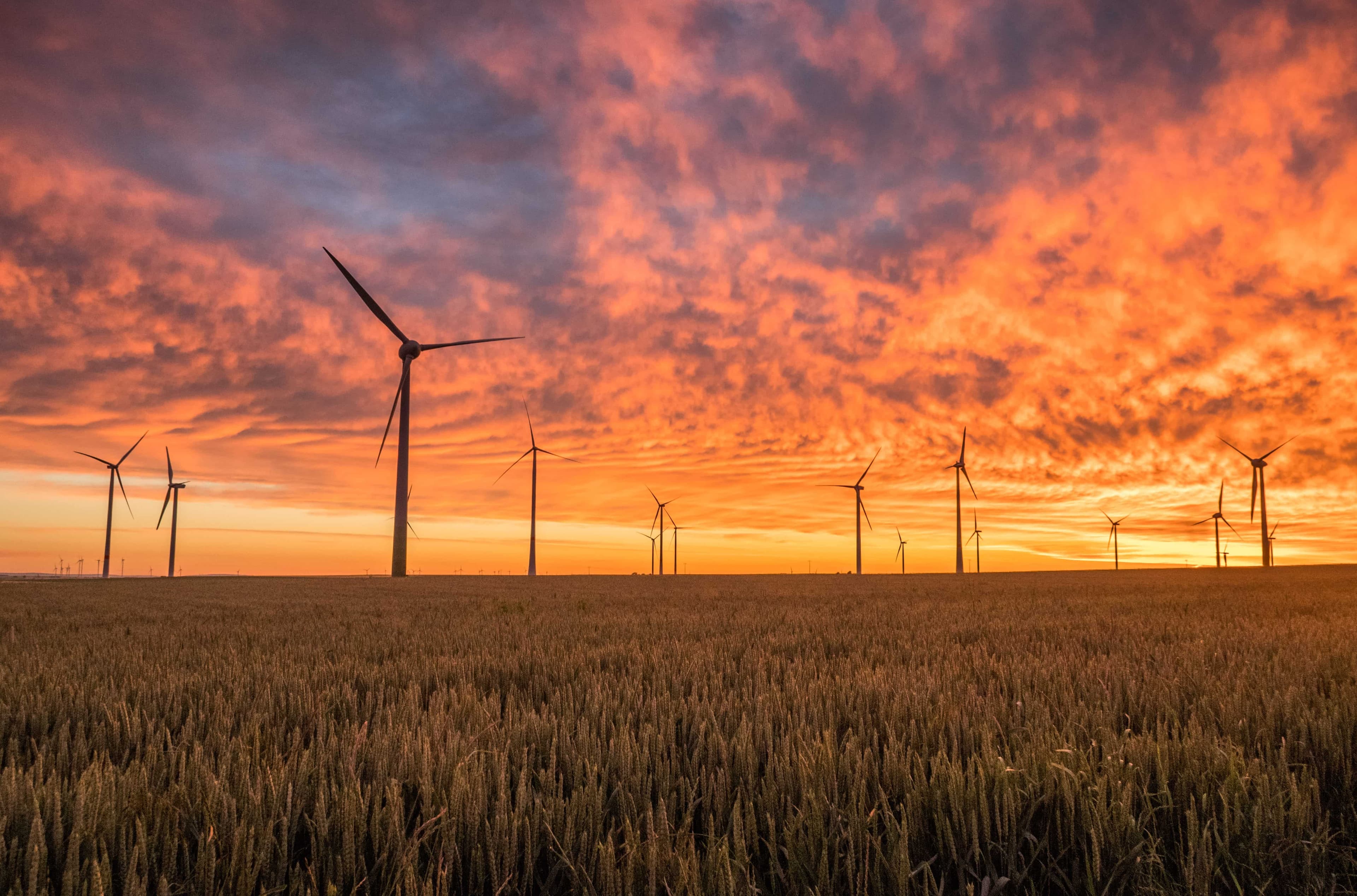 ESG Funds: FCA Calls for Further Action