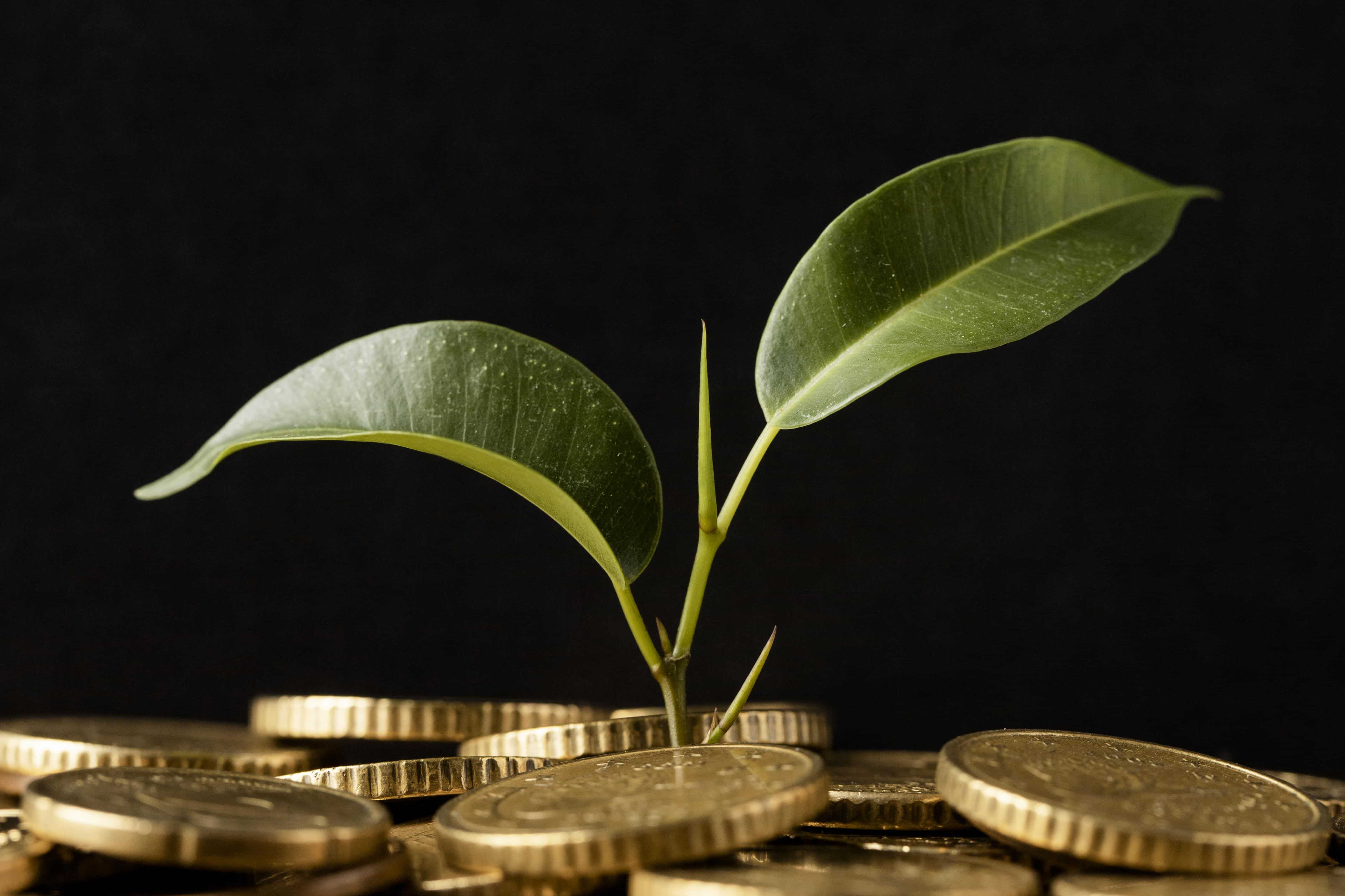 Sweco Turns to Sustainability-Linked Financing in €400M Deal