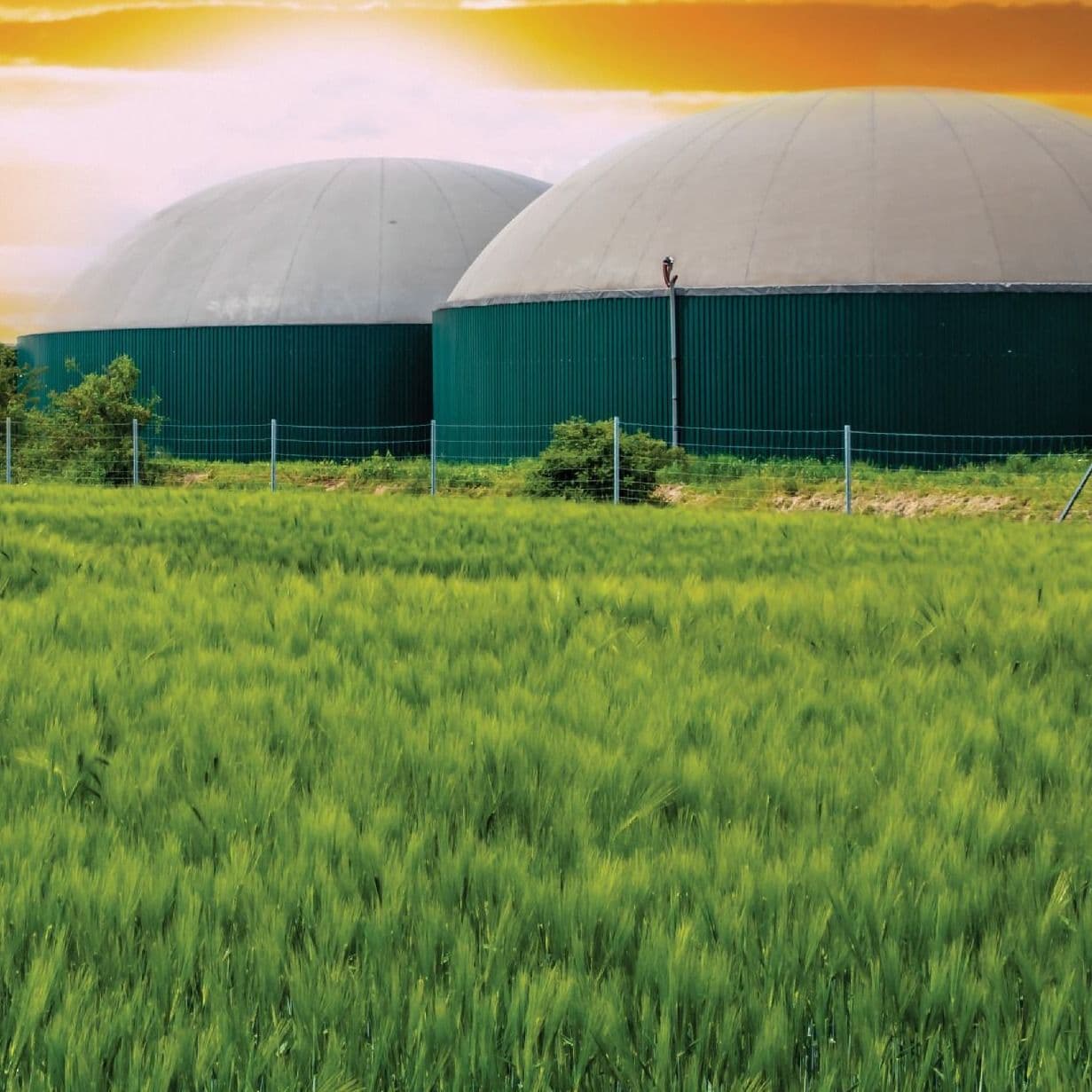 ABC Launches Tool to Track Biogas Project Emissions