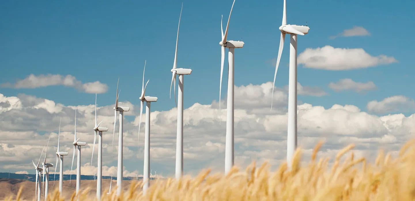 LGC Net Zero 2024