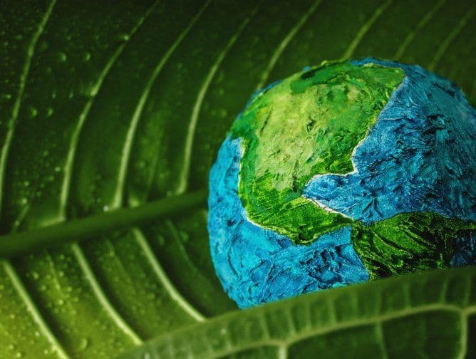 Earth Day Executive Q&A with California's Juniper Networks