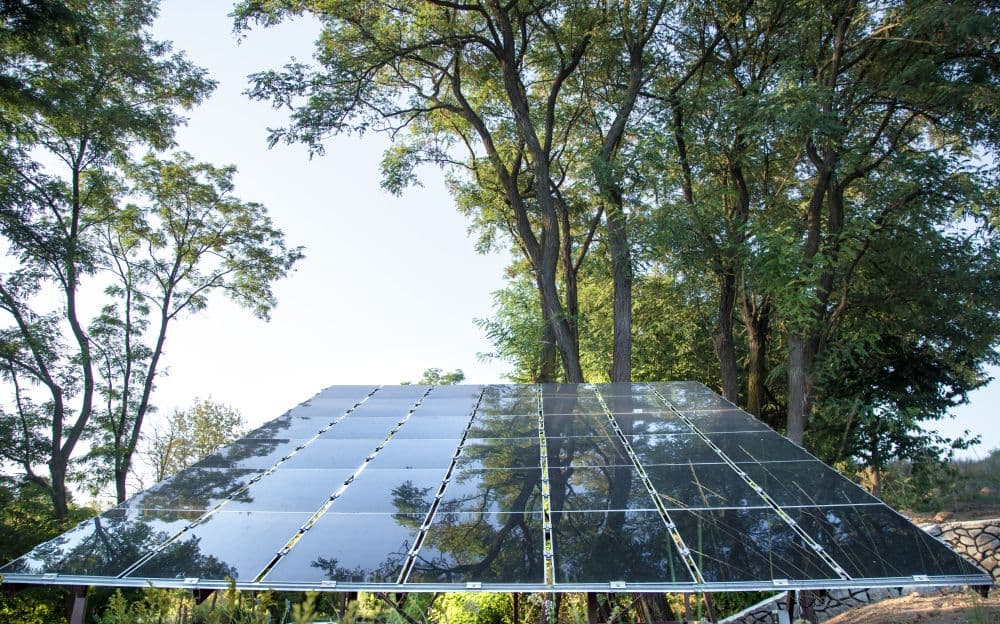 JLL and IBM Simplify ESG Reporting in Real Estate