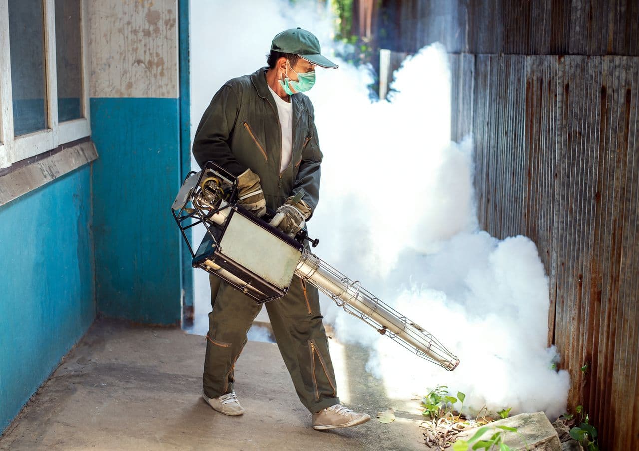 Singapore's Dengue Emergency Worries the World; Unusual Outbreak Points Towards Climate Change