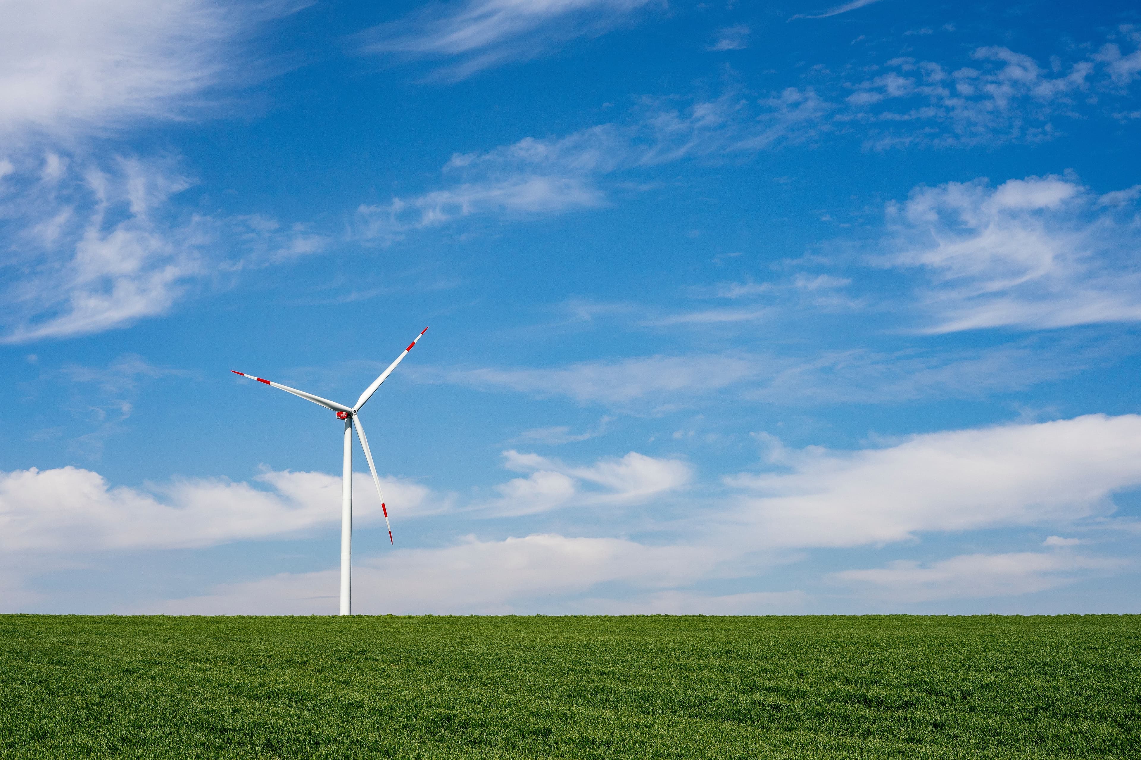EU Envoy: EU and India to Cooperate for a Green Future