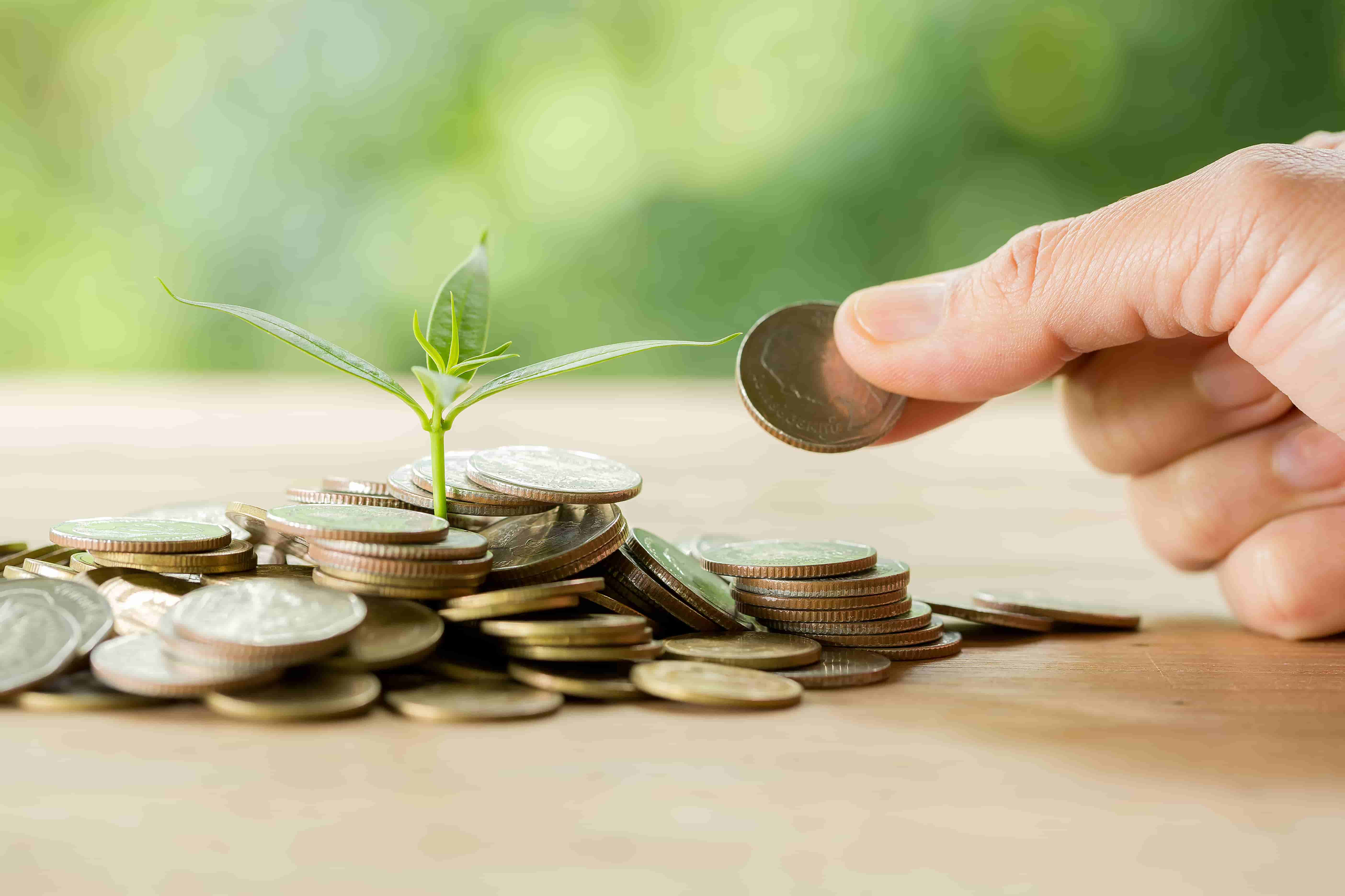 Garanti BBVA Expands Sustainable Finance to $30B in Türkiye