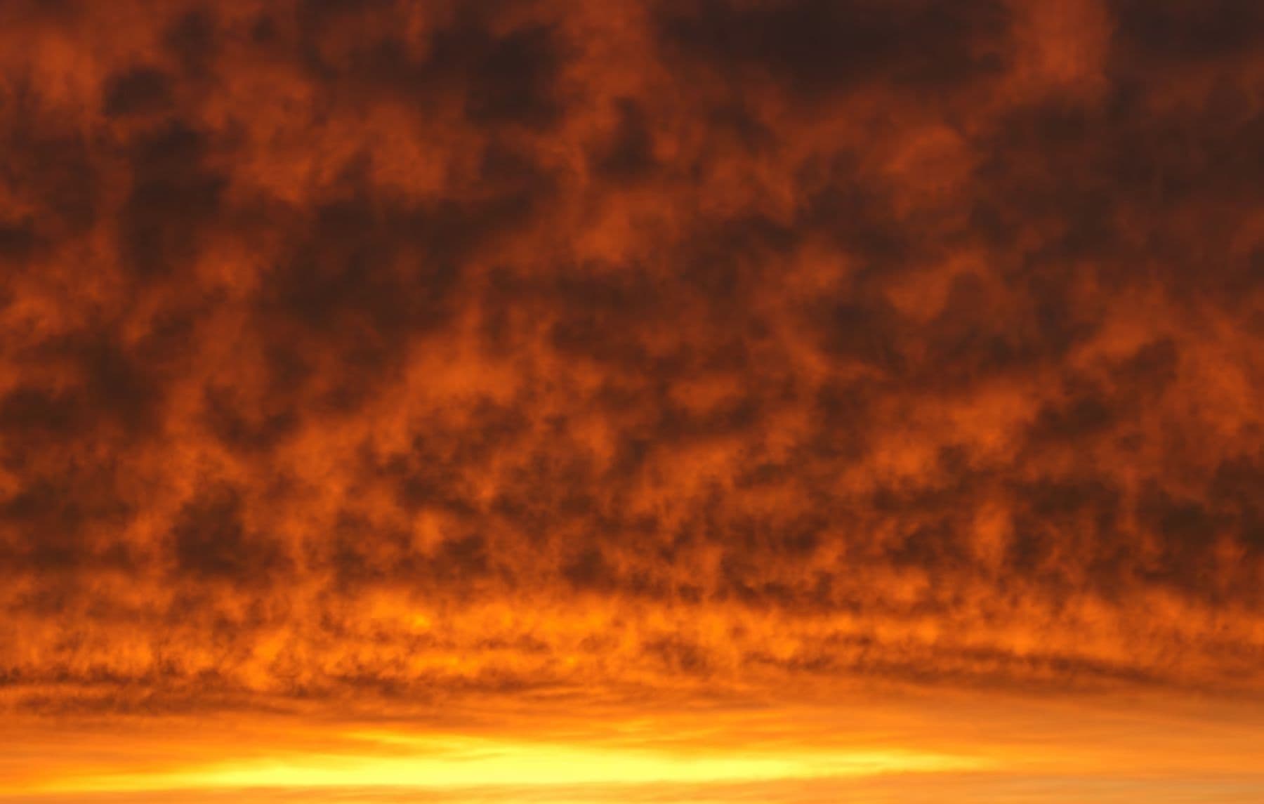 Canadian Wildfire Smoke Now Looms Over Europe