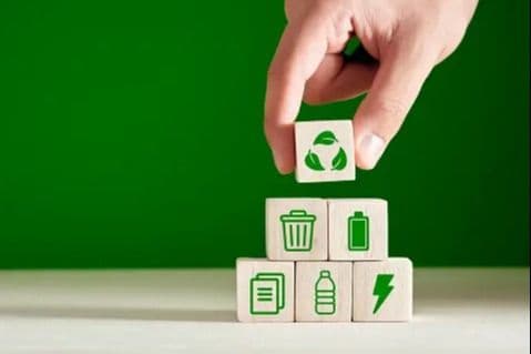 Sustainable Business: Big Issues, Big Changes