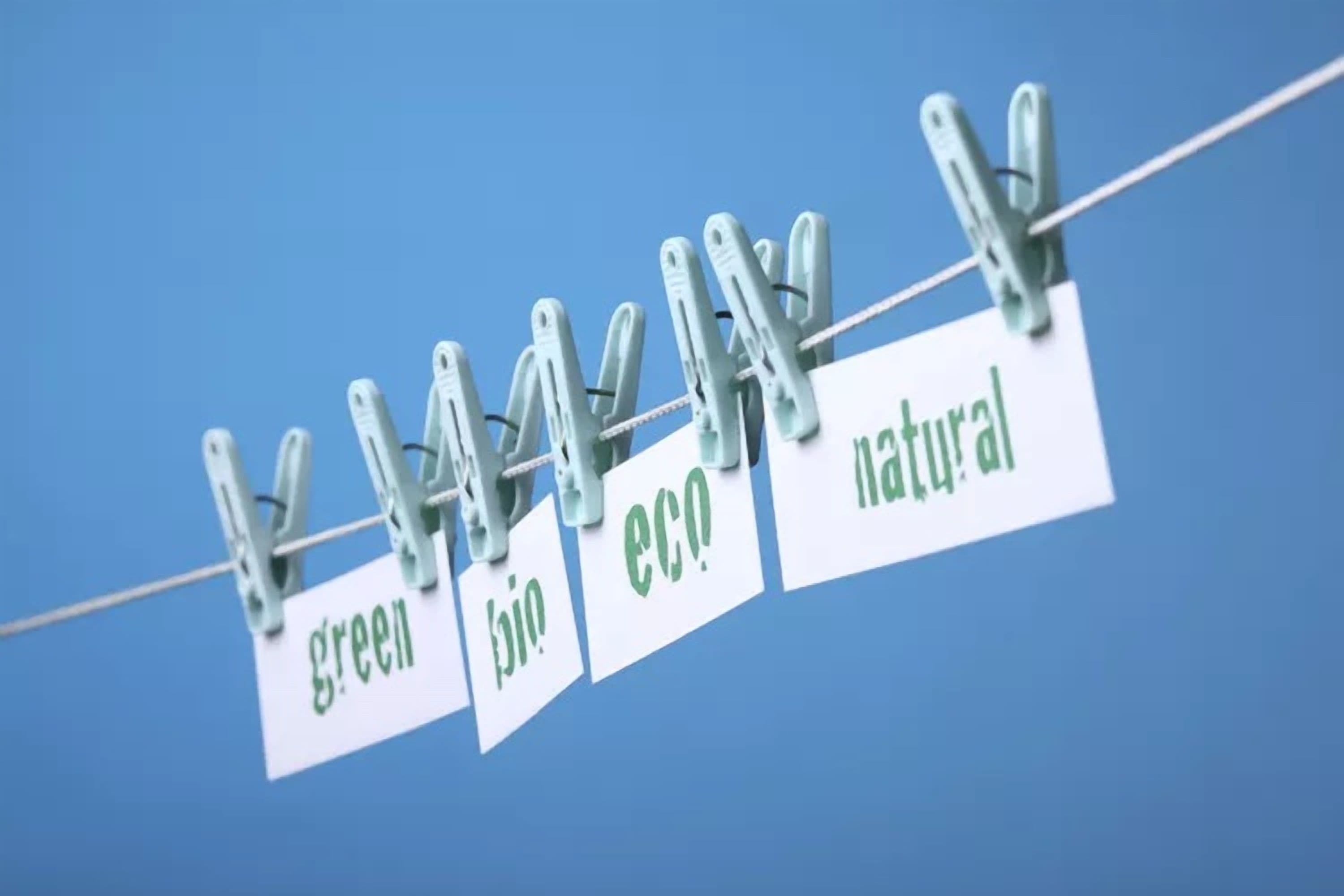 CCPA Guidelines to Combat Greenwashing in India