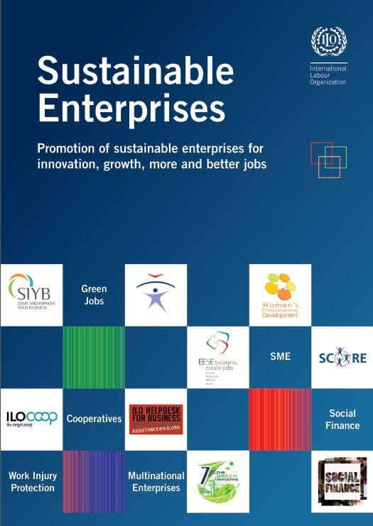 Sustainable Business Enterprises