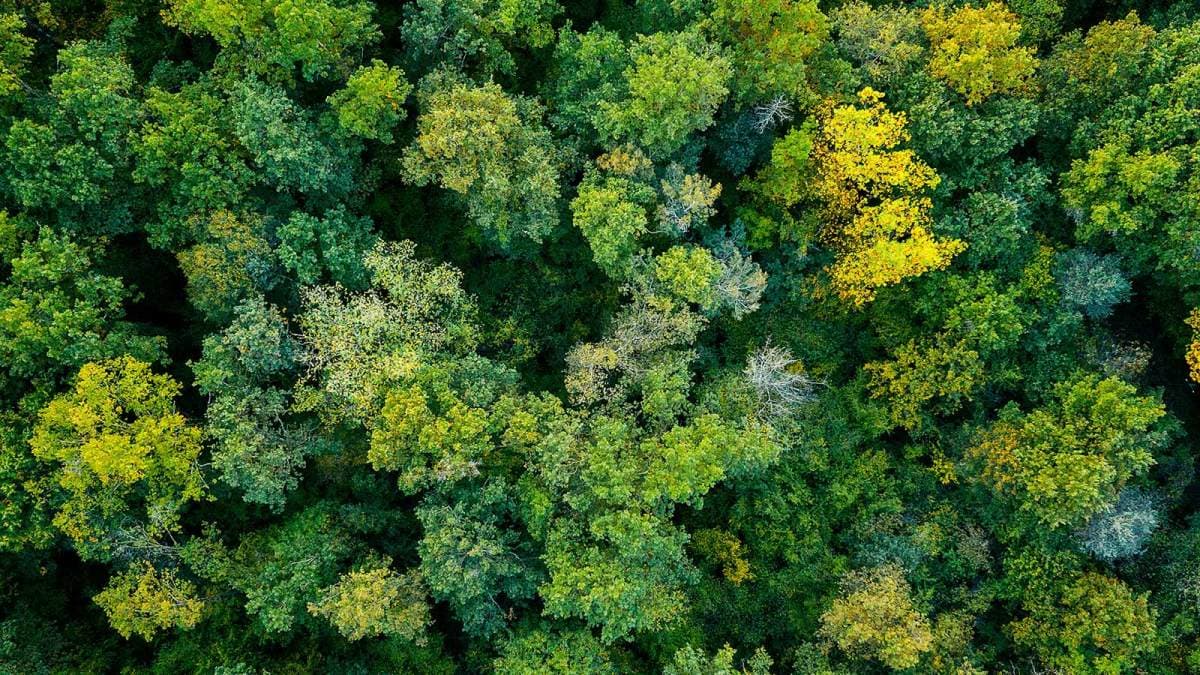 GlobalData Sees ESG Resilience Amid Disruption